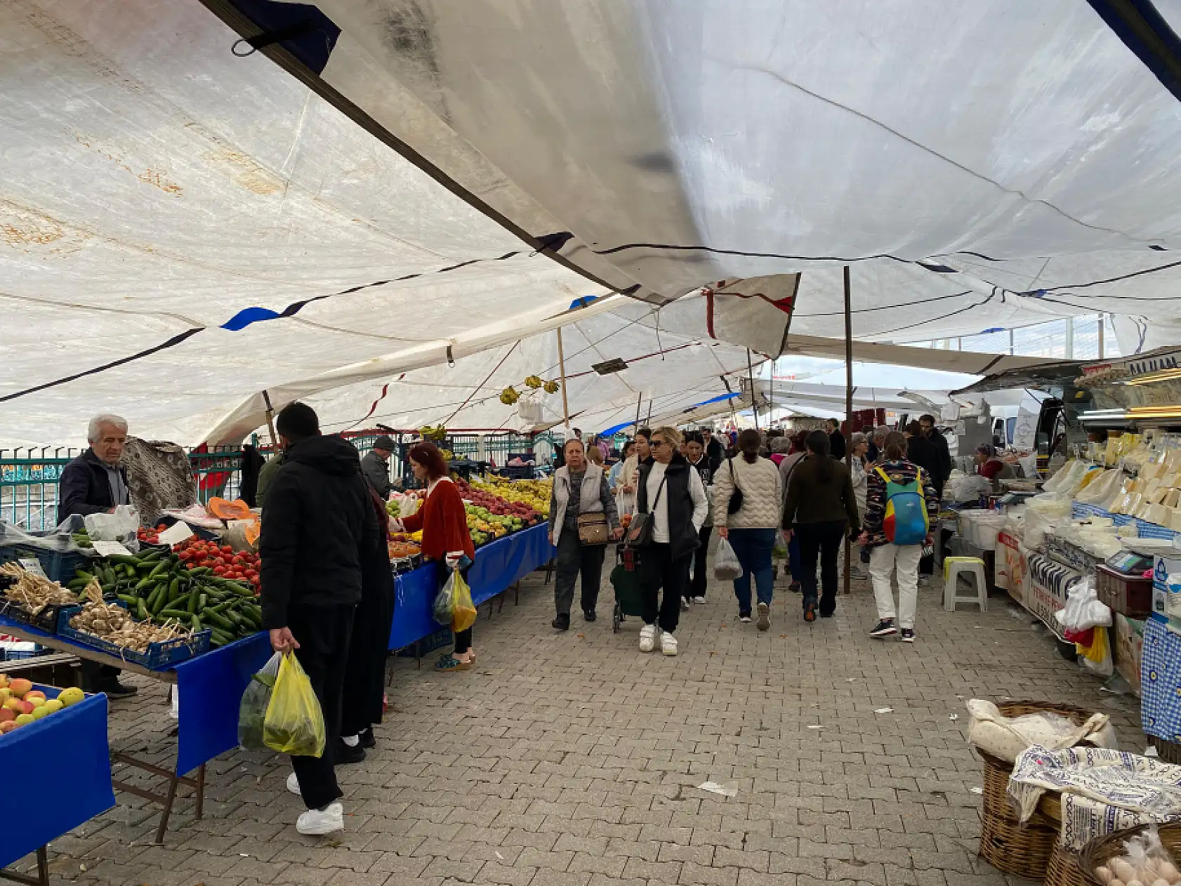 Fethiye'de Çıntara Talep Düşüşte 'Bu Sene Az, Geçen Seneye Göre Daha Az'