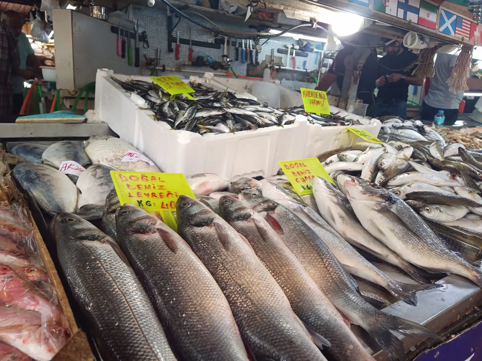 Fethiye Balık Pazarı'nda palamut revaçta