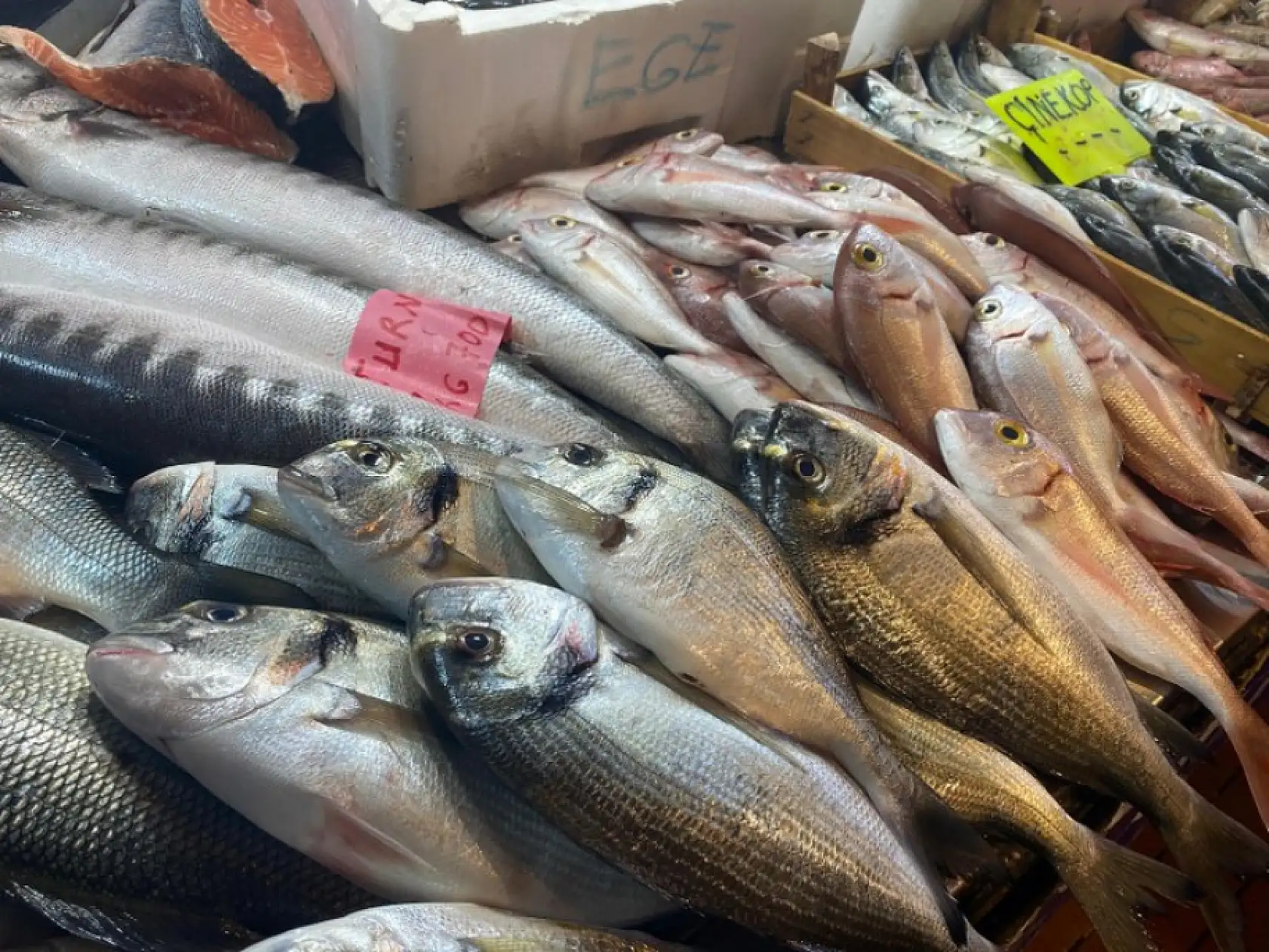 Fethiye Balık Pazarı'nda Kış Sezonu Başladı: Tezgahlarda Çeşit Bolluğu