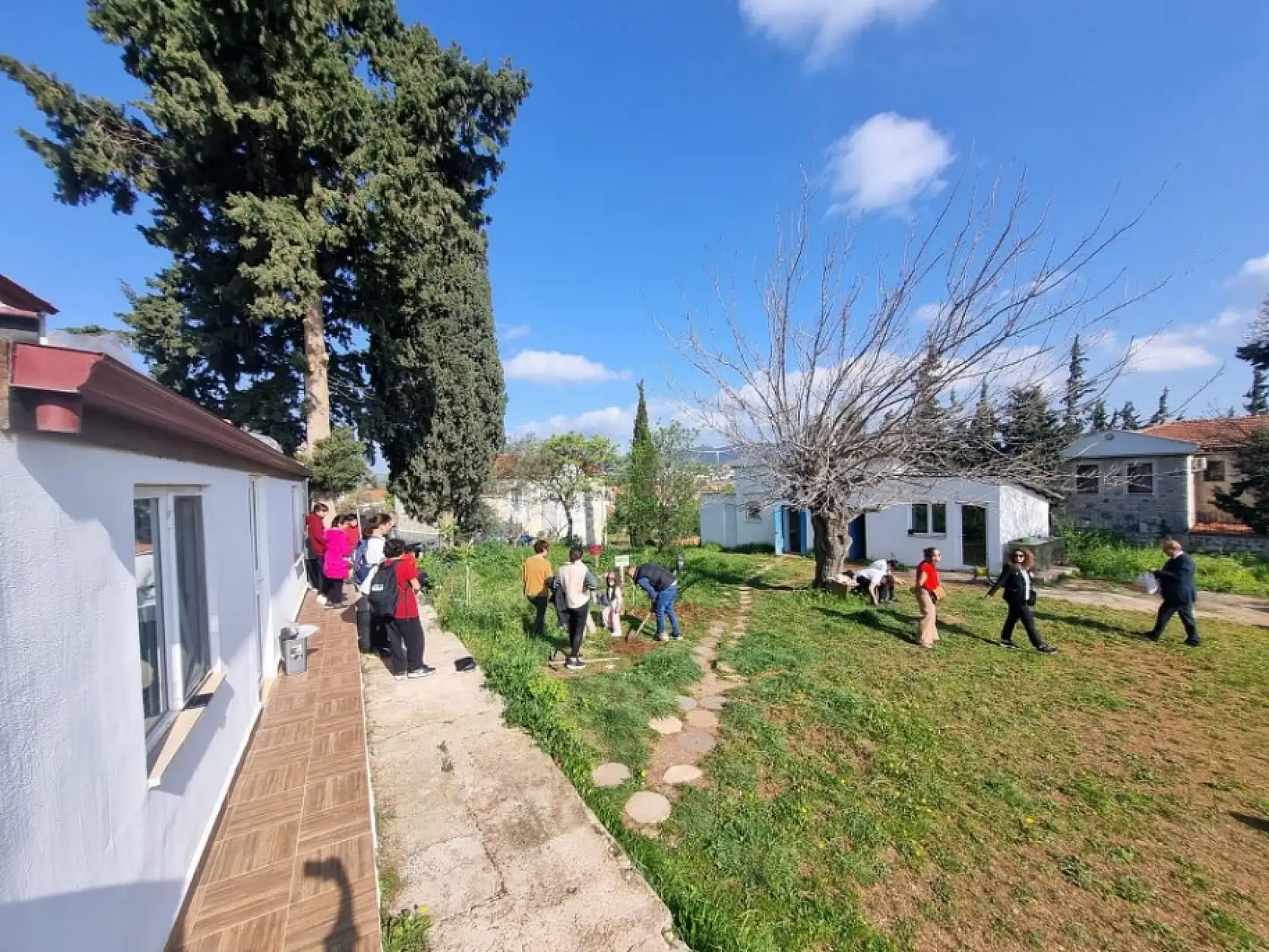 Datça'da İlçe Milli Eğitim Müdürlüğü bahçesine fidan dikildi