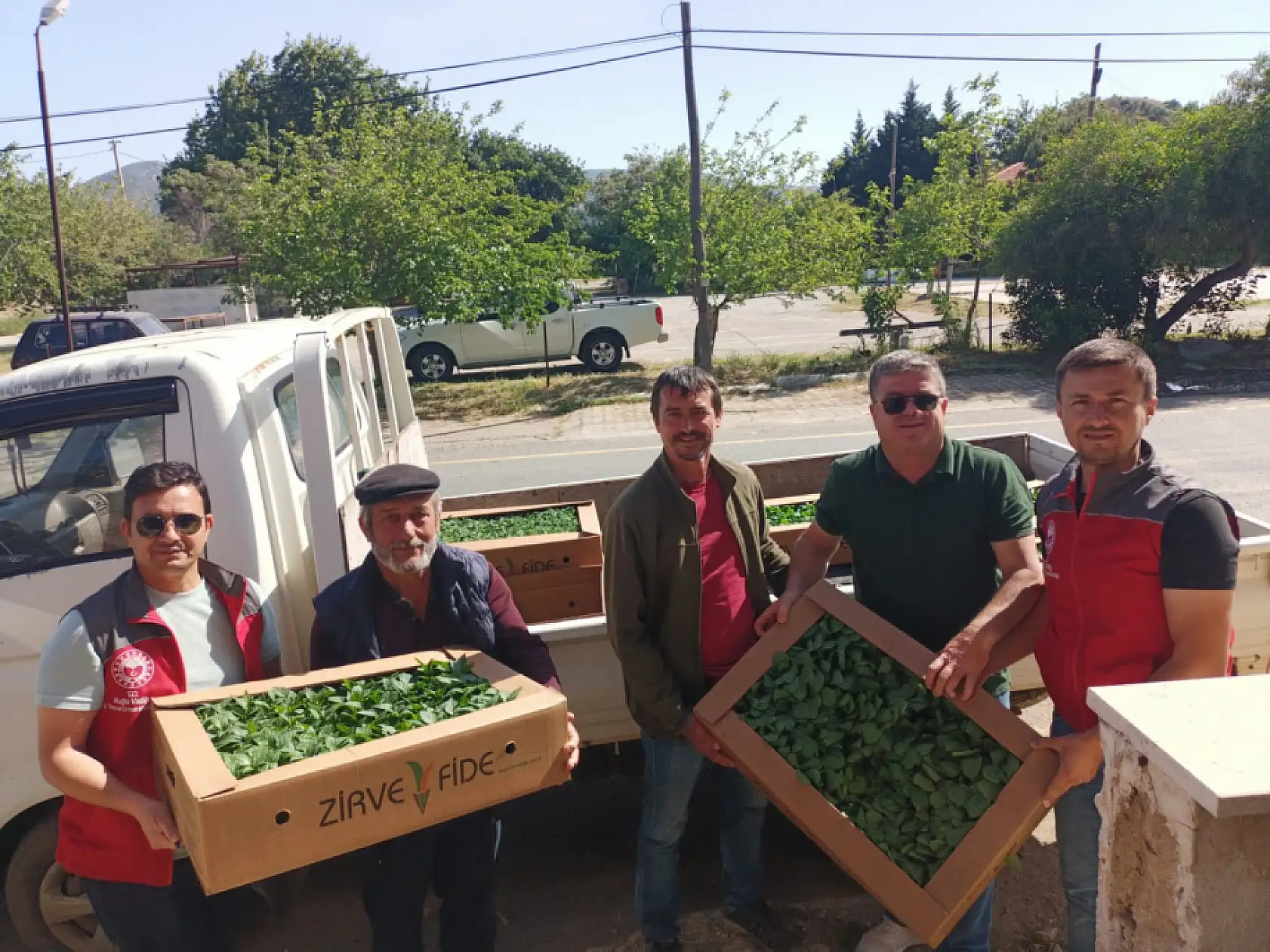 Datça'da 46 üreticiye 79 bin sebze fidesi dağıtıldı