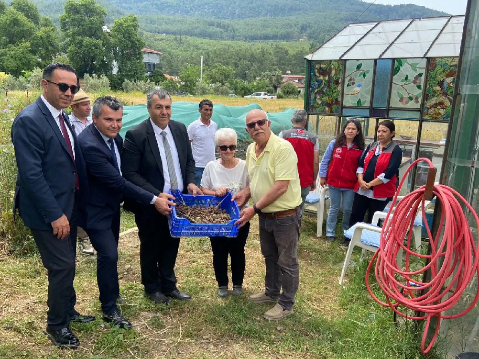 Dalaman'da birinci sınıf öğrencileri çilek ve salep hasadı yaptı