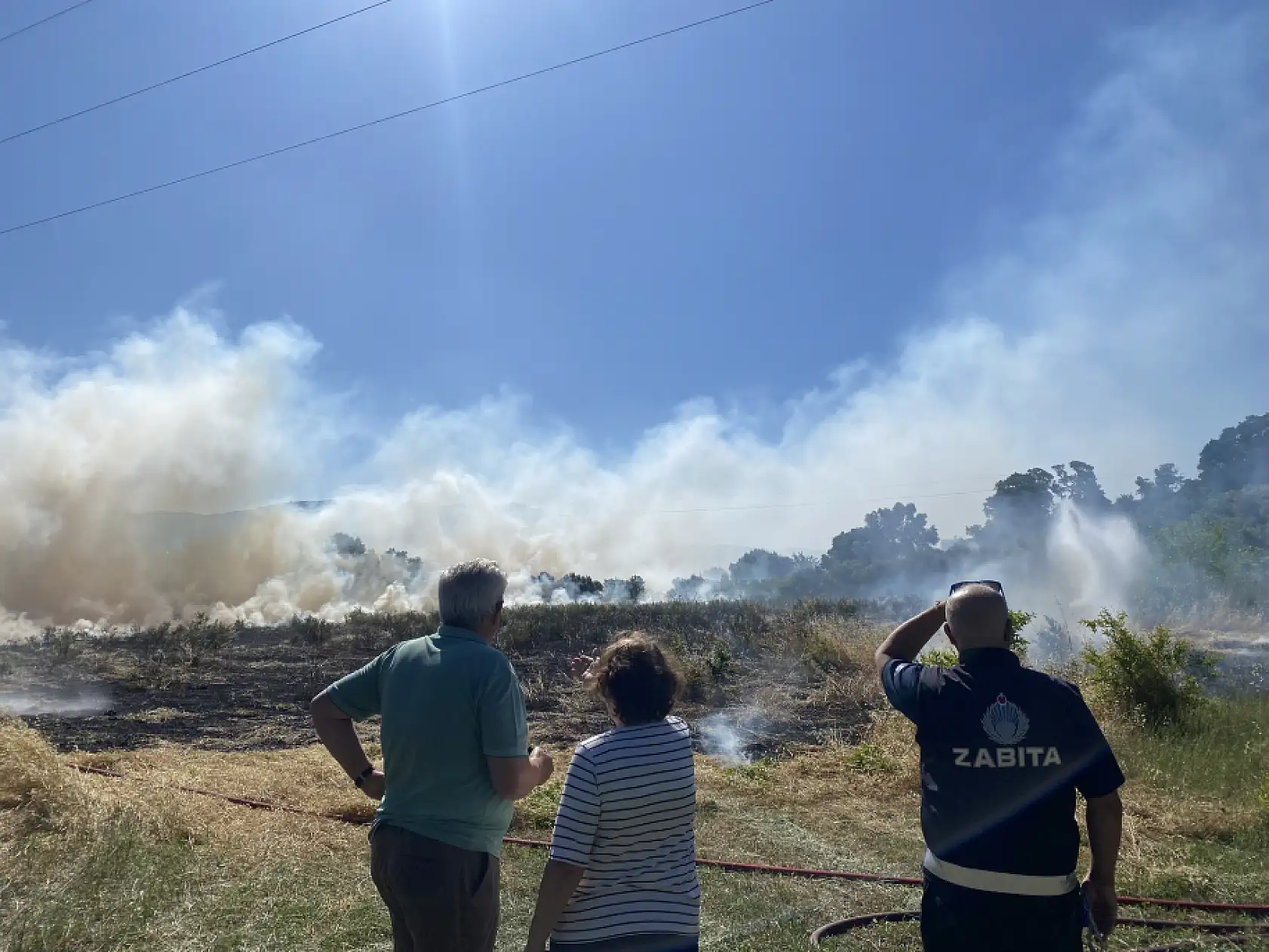 Bodrum'da tarım arazisi ve otluk alanda çıkan yangın söndürüldü