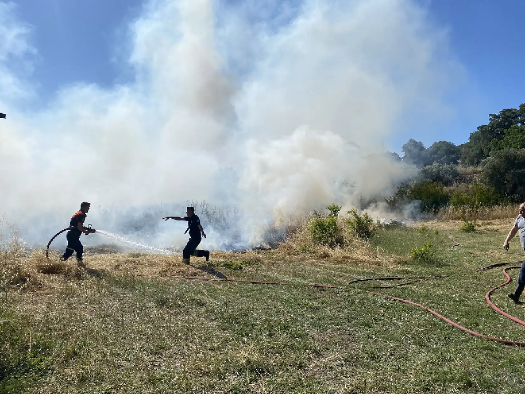 Bodrum'da tarım arazisi ve otluk alanda çıkan yangın söndürüldü