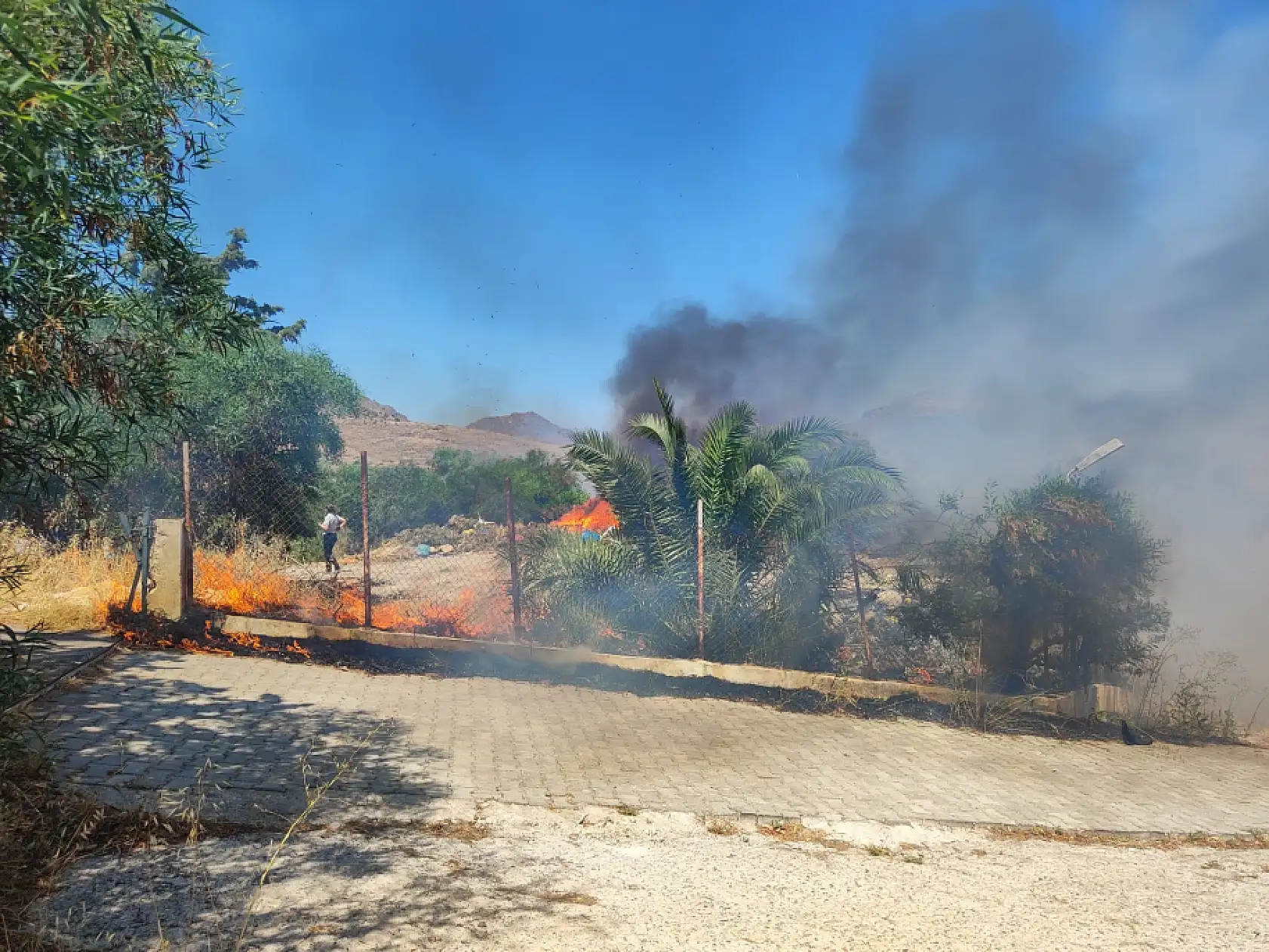 Bodrum'da makilik ve otluk alanda çıkan yangın söndürüldü