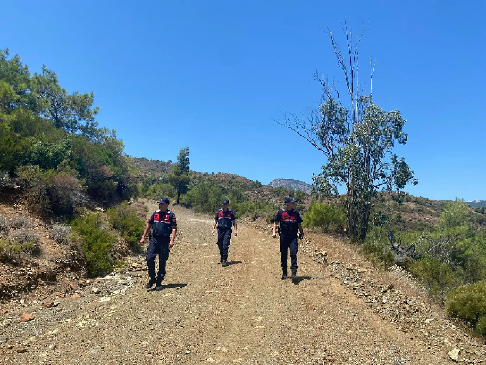 Datça'da ormanlık alana izinsiz giren 3 kişiye idari işlem uygulandı