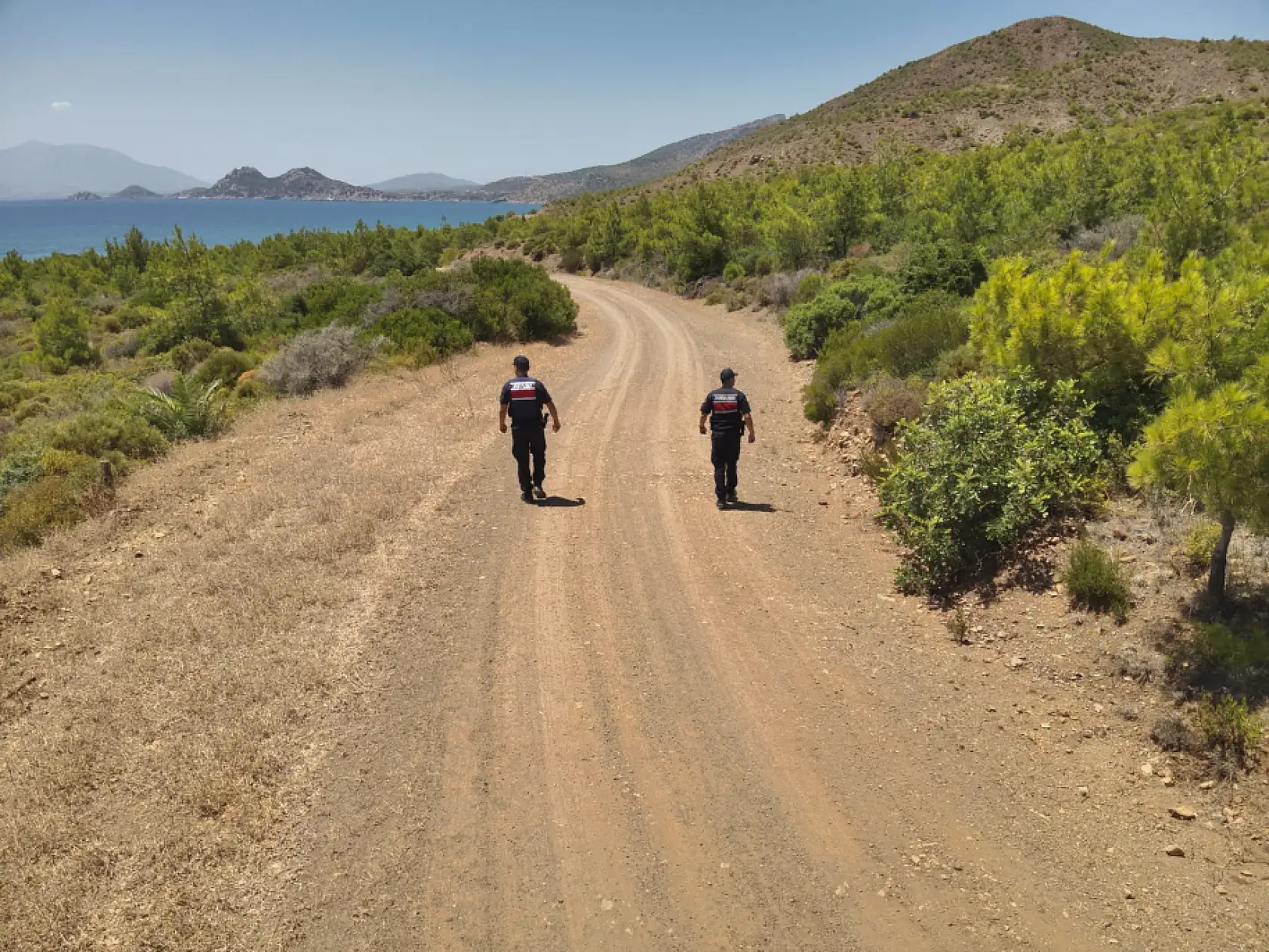 Datça'da ormanlık alana izinsiz giren 3 kişiye idari işlem uygulandı