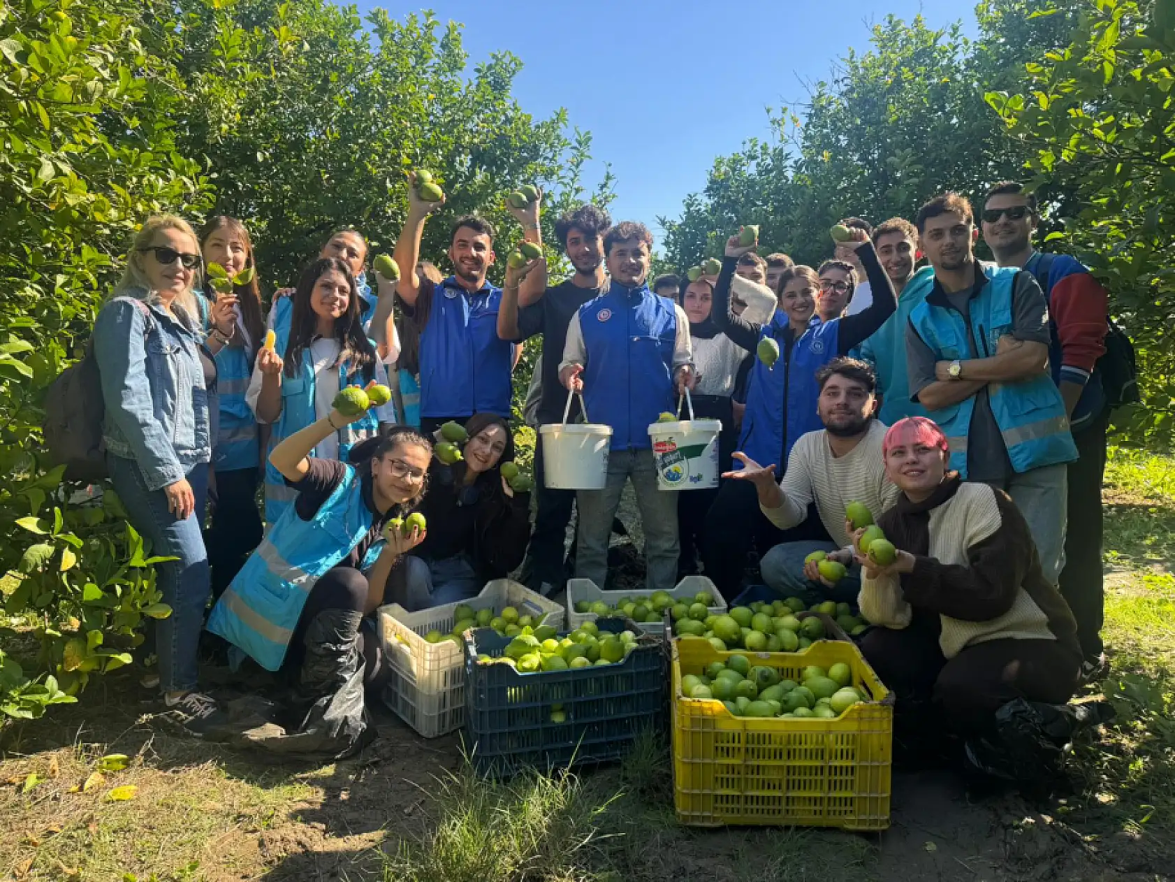 Muğla'da gençlerden narenciye toplayan işçilere destek