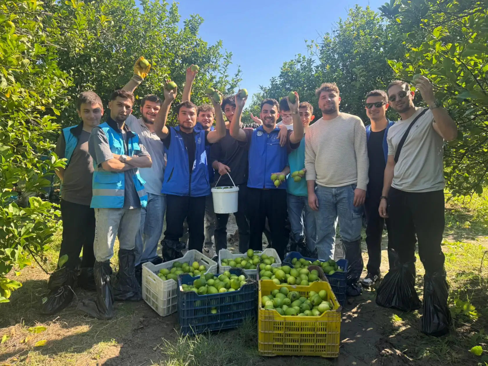 Muğla'da gençlerden narenciye toplayan işçilere destek