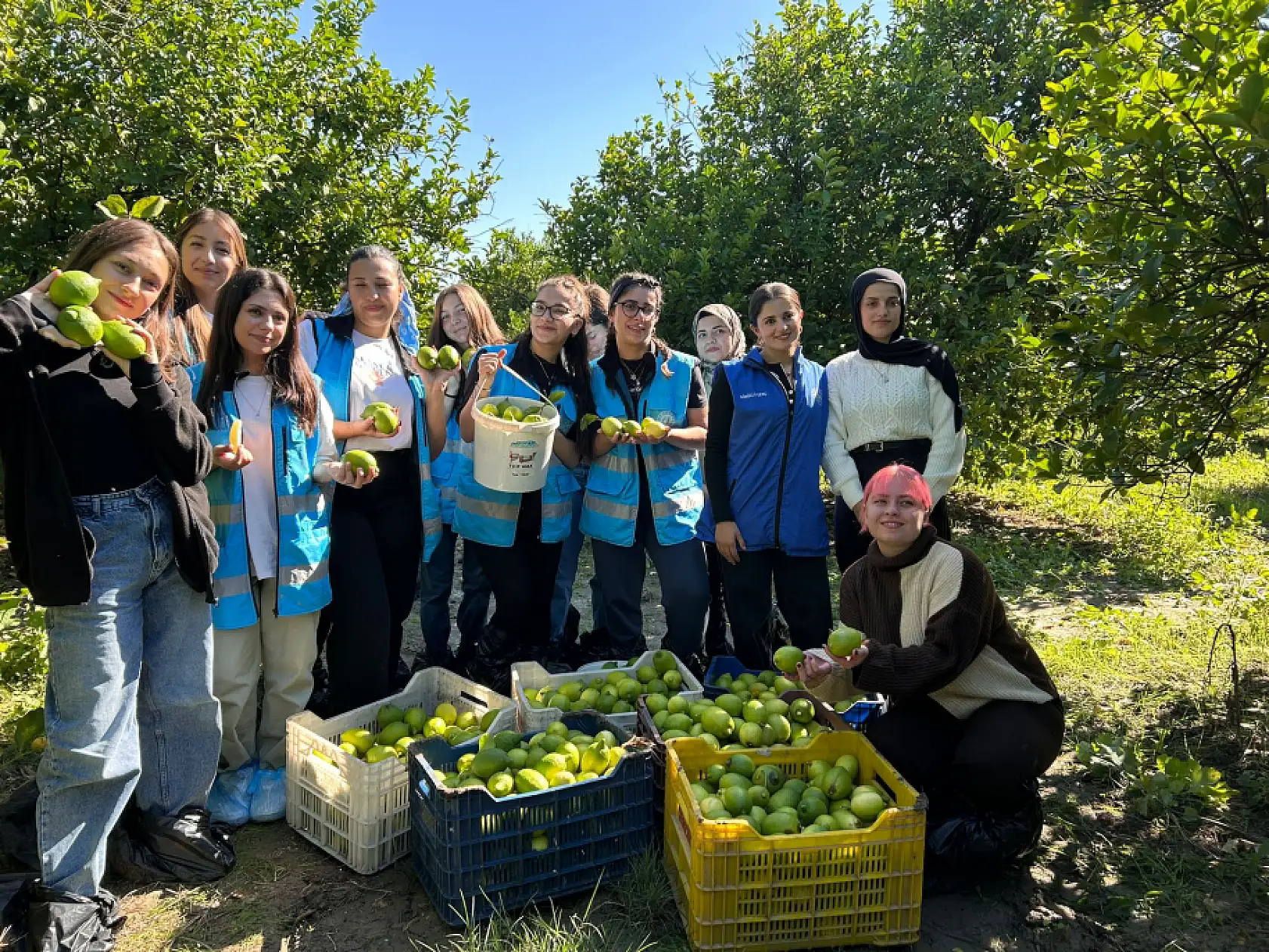 Muğla'da gençlerden narenciye toplayan işçilere destek