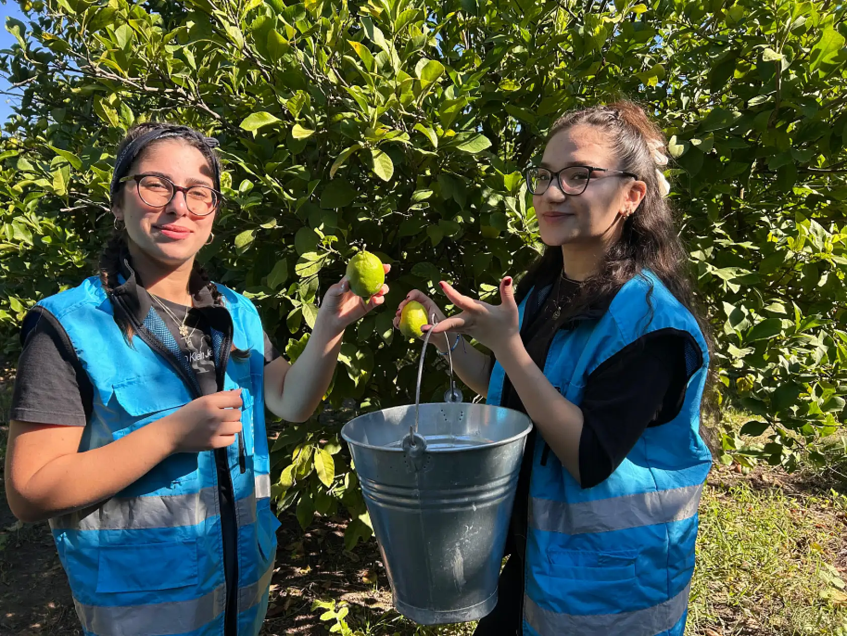 Muğla'da gençlerden narenciye toplayan işçilere destek