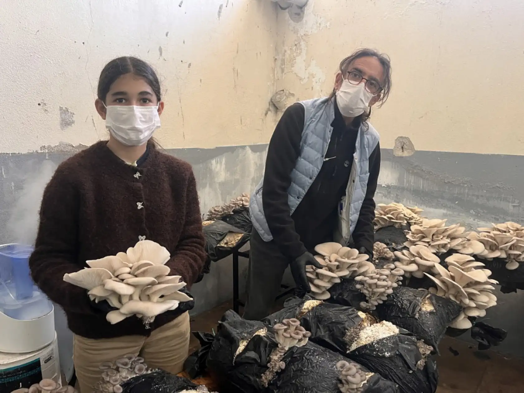 Muğla'da öğrenciler okulda istiridye mantarı üretiyor