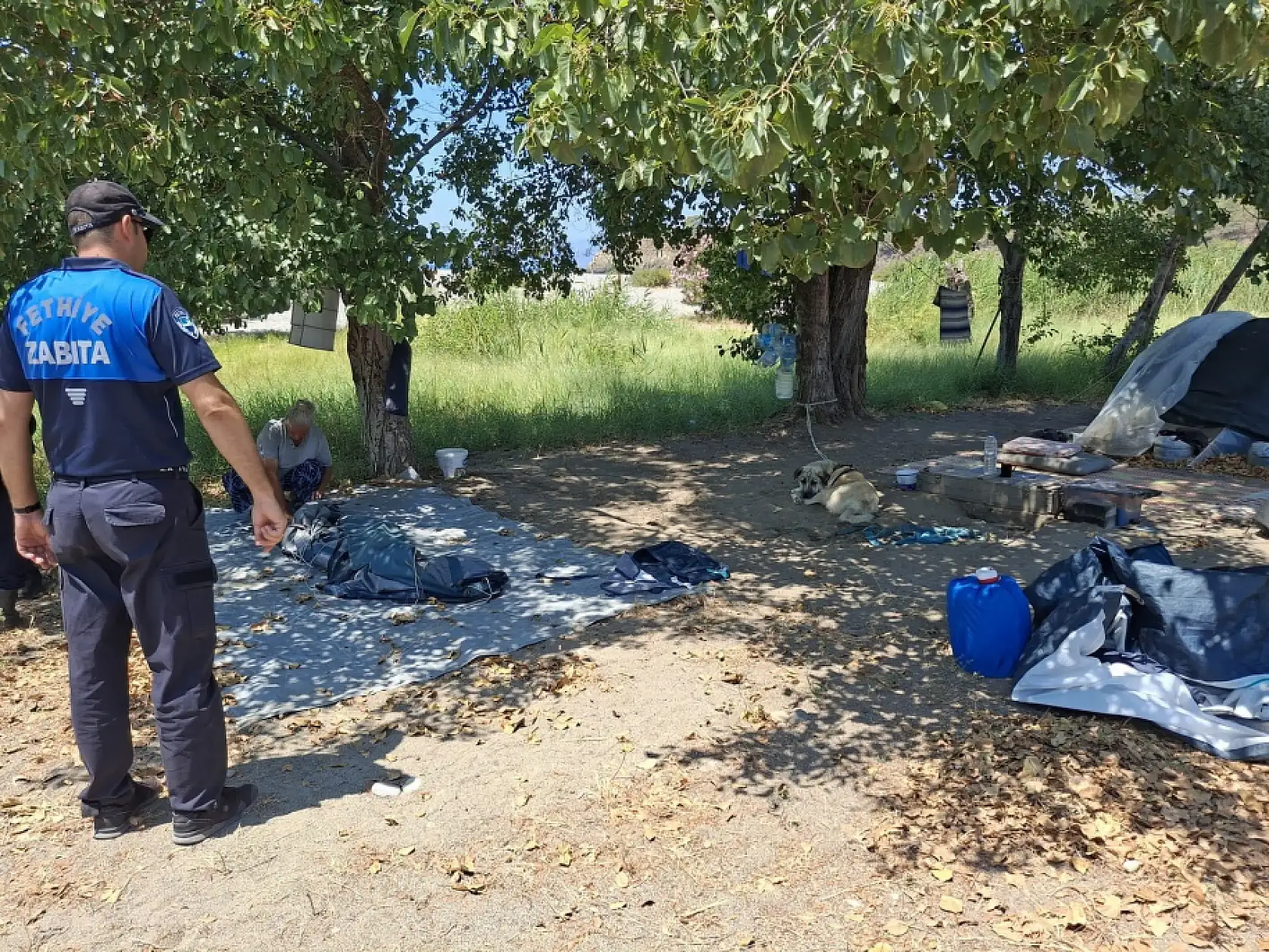 Fethiye Belediyesi'nden Ormanlık Alanlarda Çadır Denetimi