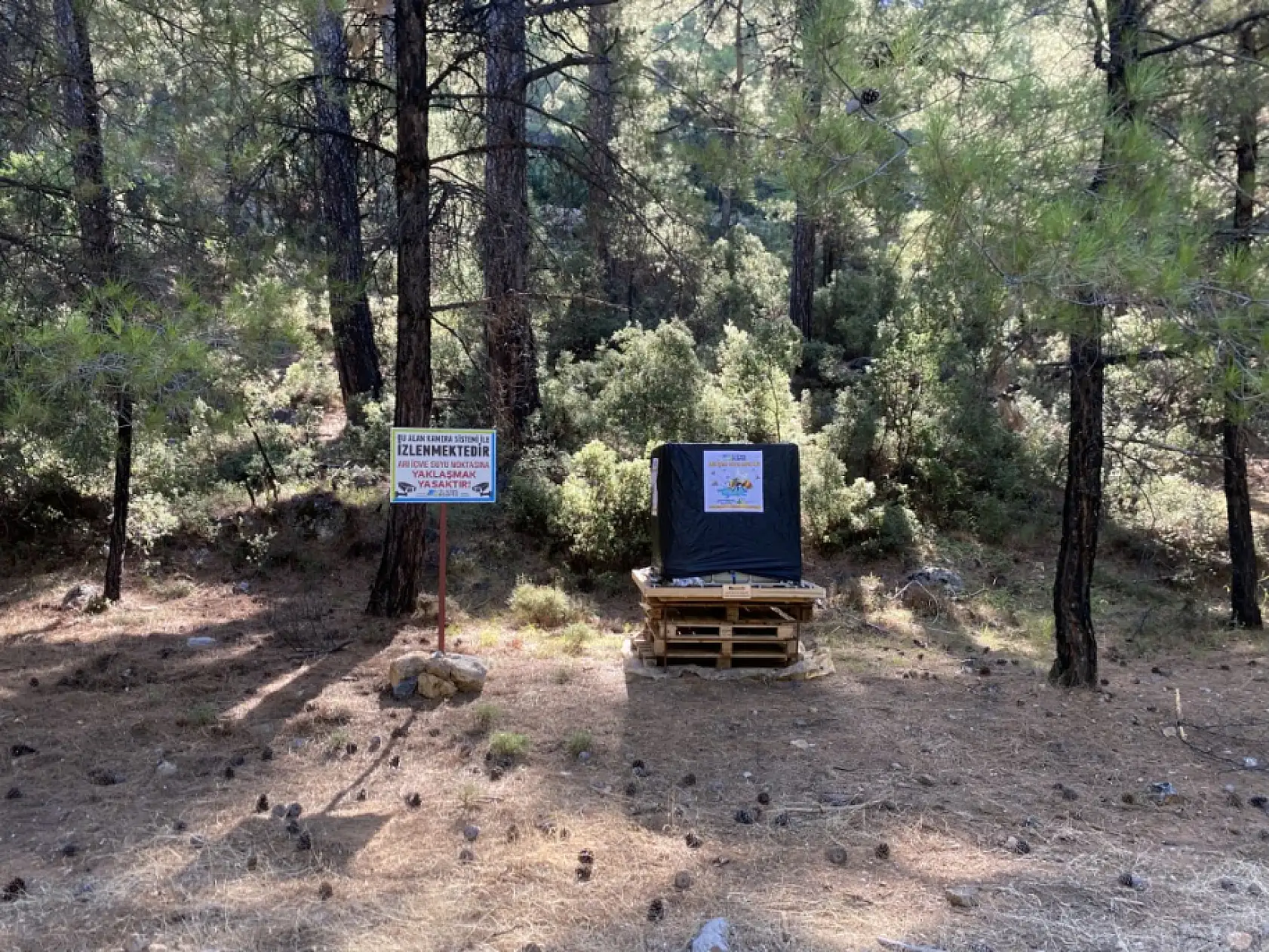Fethiye Belediyesi'nden Türkiye'de Bir İlk: Arı İçme Suyu Noktaları Hizmete Girdi