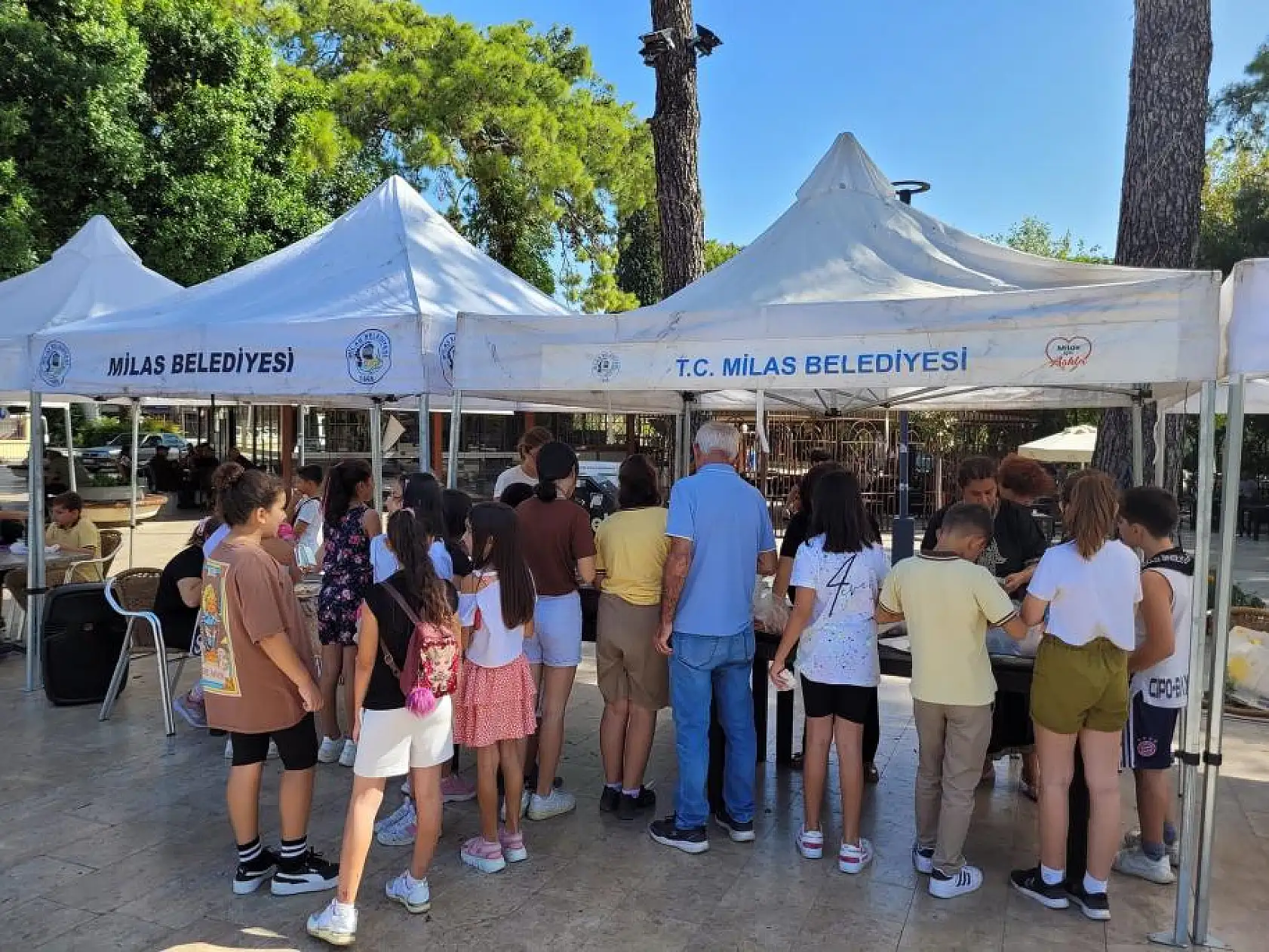 Sokak Hayvanları İçin Bir Araya Geldiler