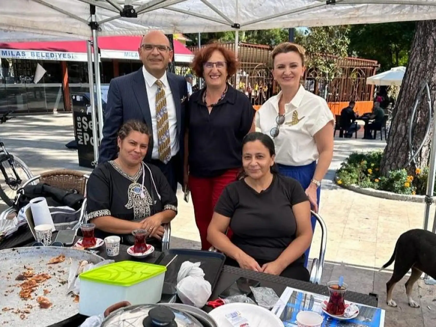 Sokak Hayvanları İçin Bir Araya Geldiler