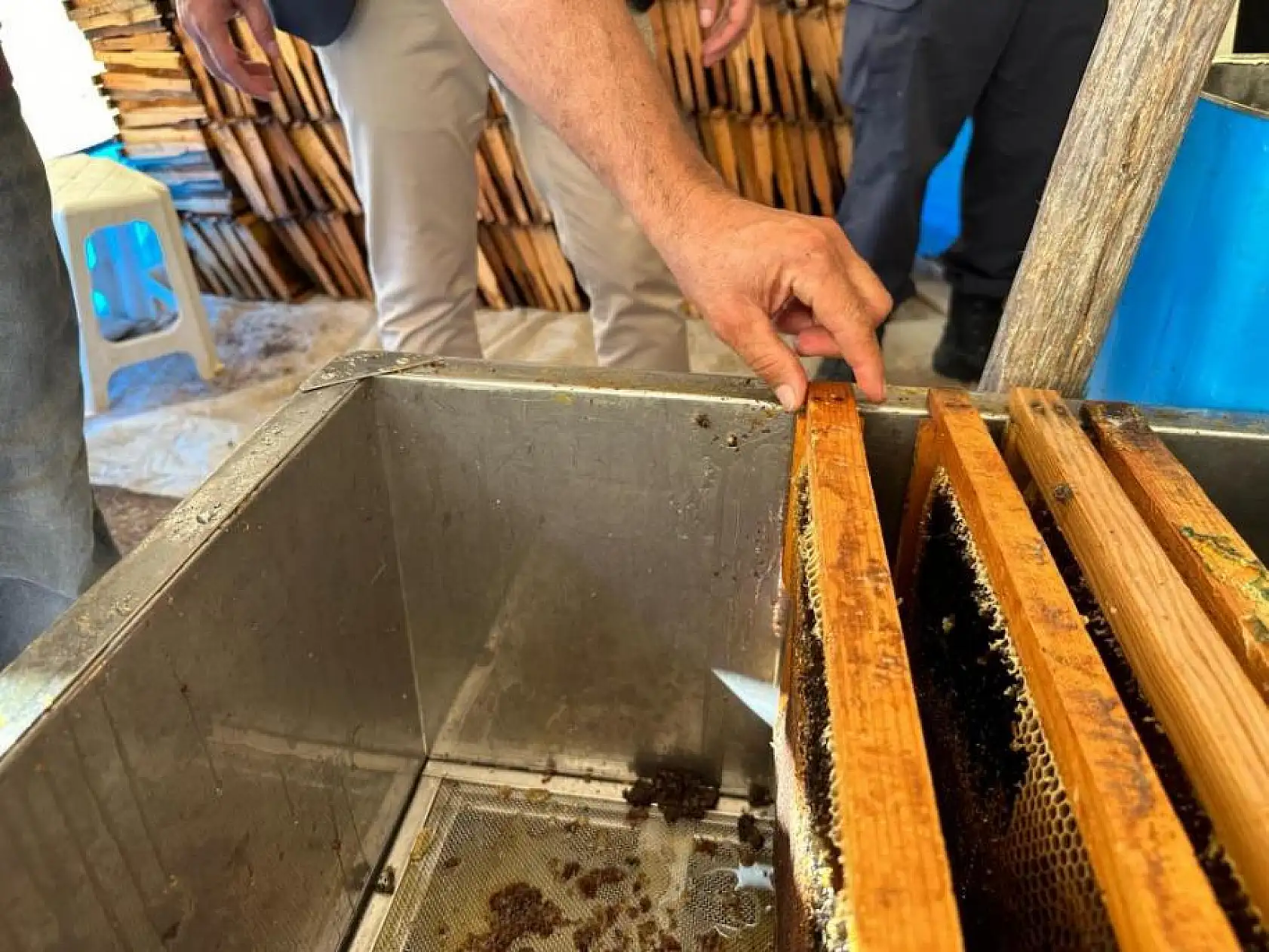 Kaymakam Aktaş, arıcıların çam balı hasadına katıldı