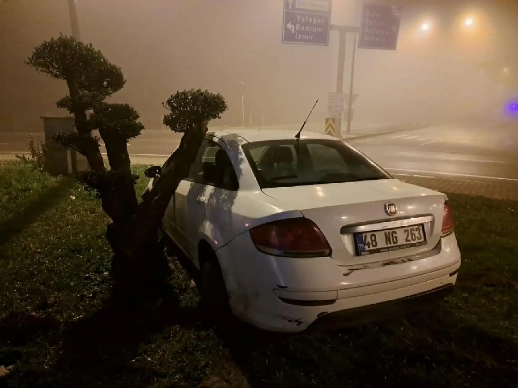 Yoğun sis kazaya neden oldu