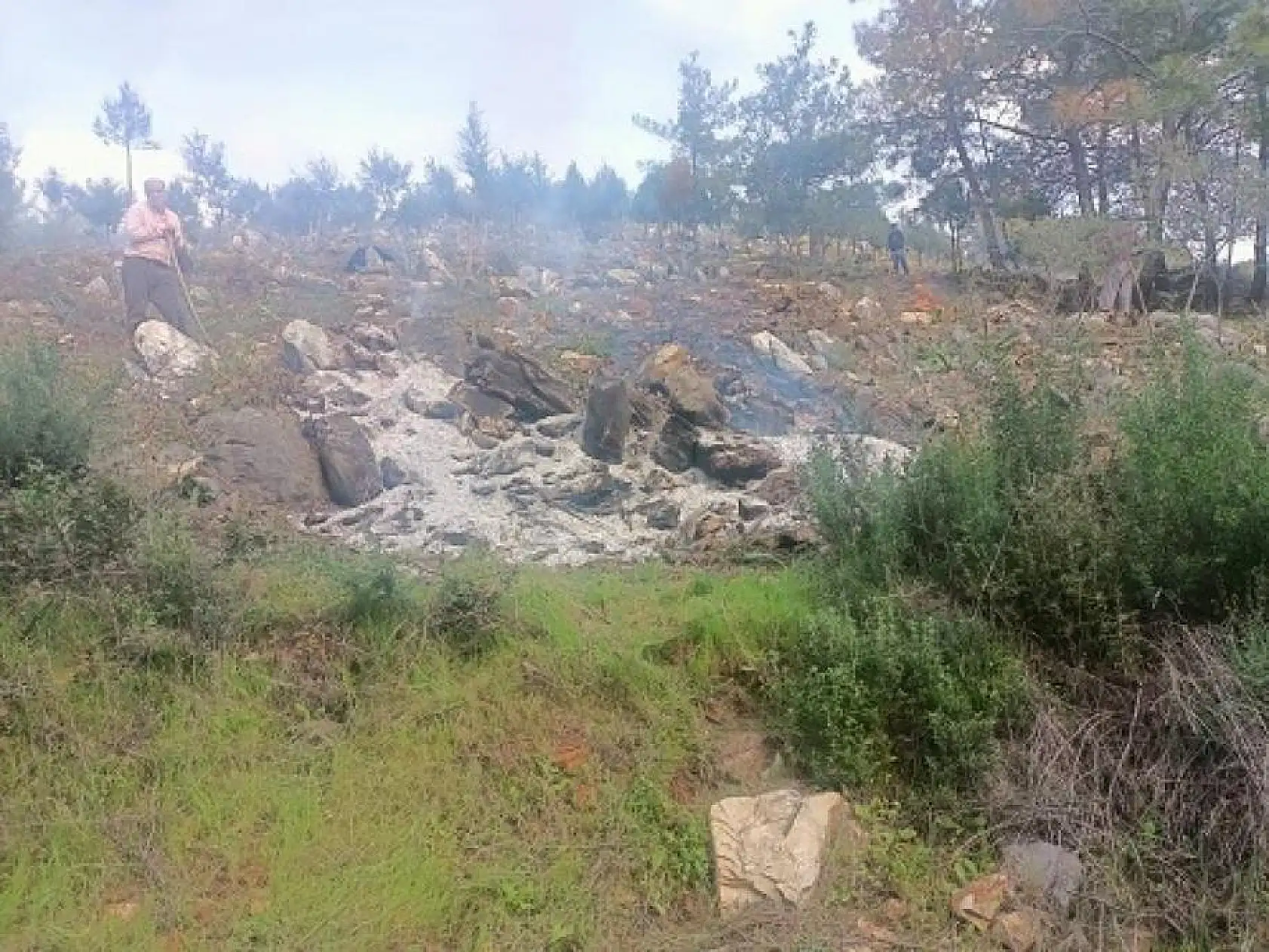 Muğla'da doğa katillerine operasyon