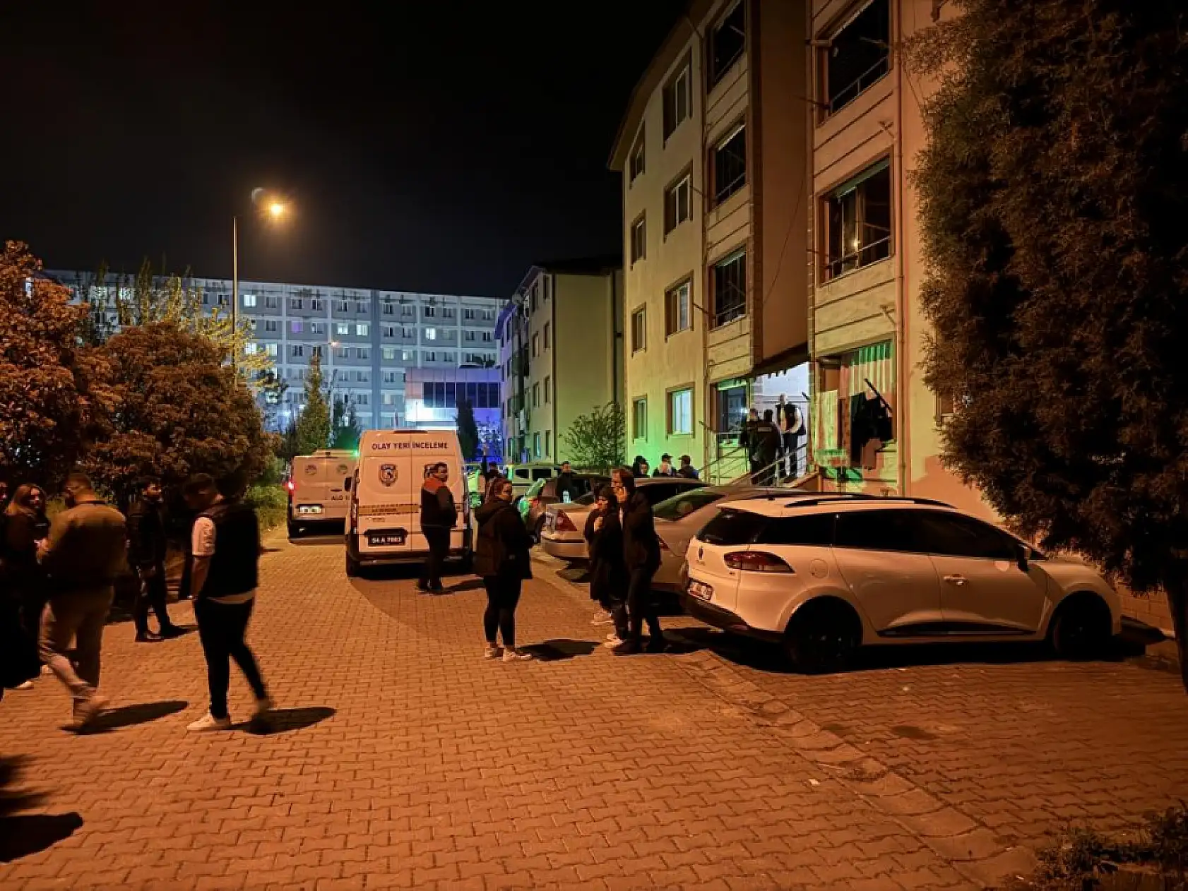 Büyük oğul üvey annesini ve öz babasını, küçük kardeş ise ağabeyini öldürdü