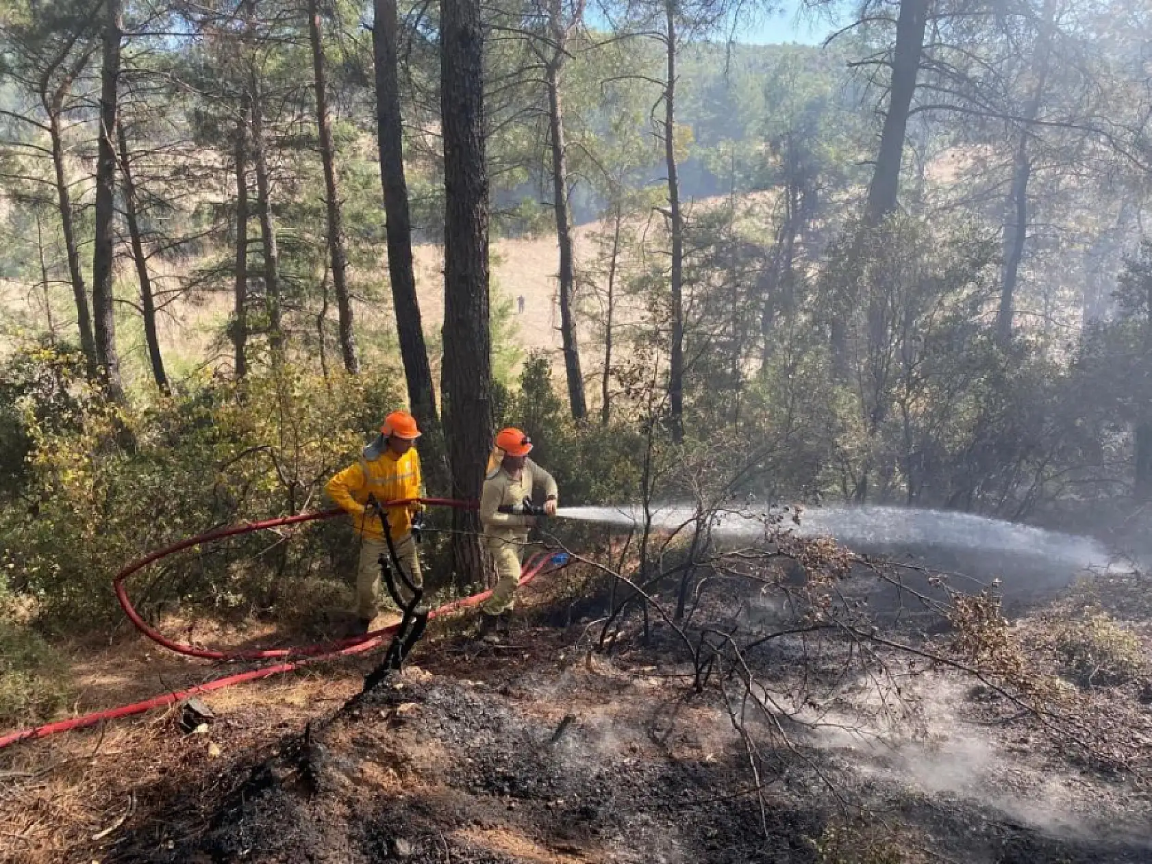 Yatağan'daki orman yangını büyümeden söndürüldü