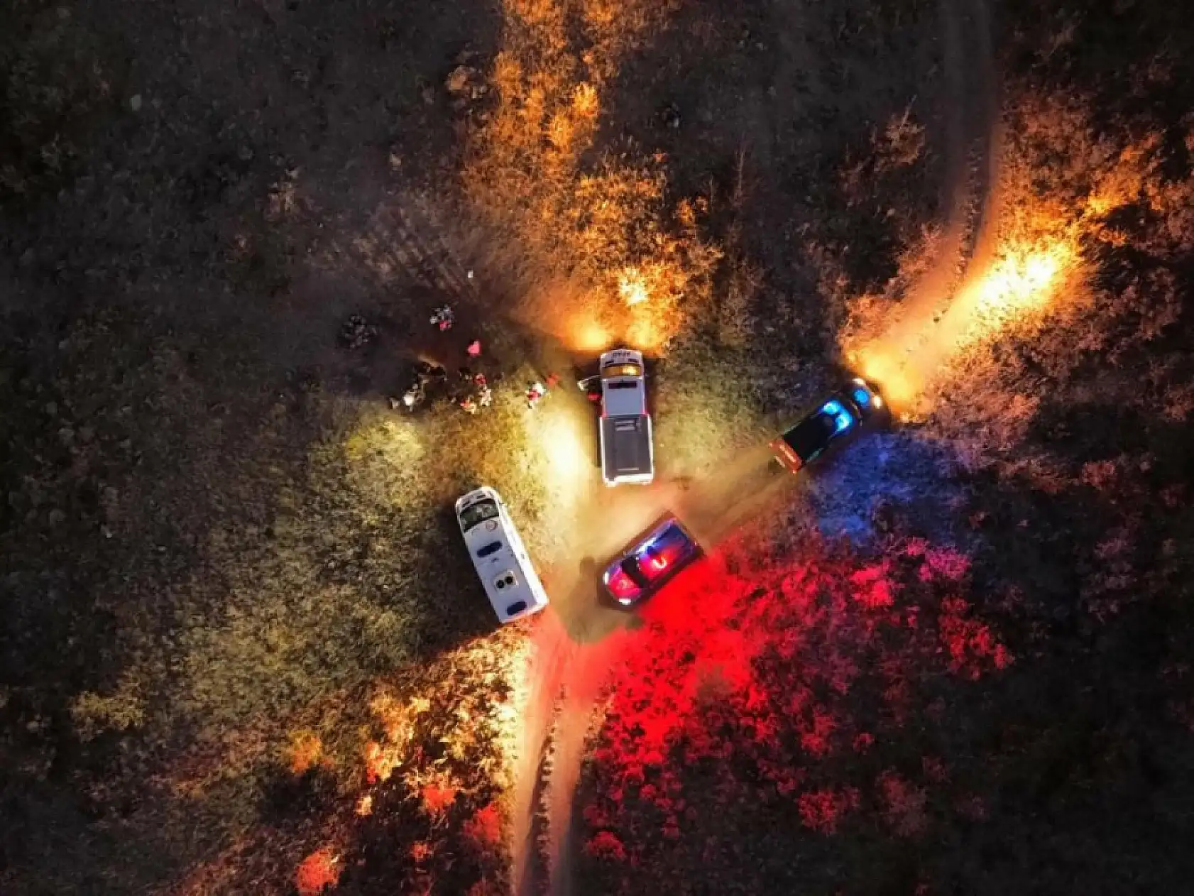 Kamp yapan İngiliz turist ayı saldırısına uğradı