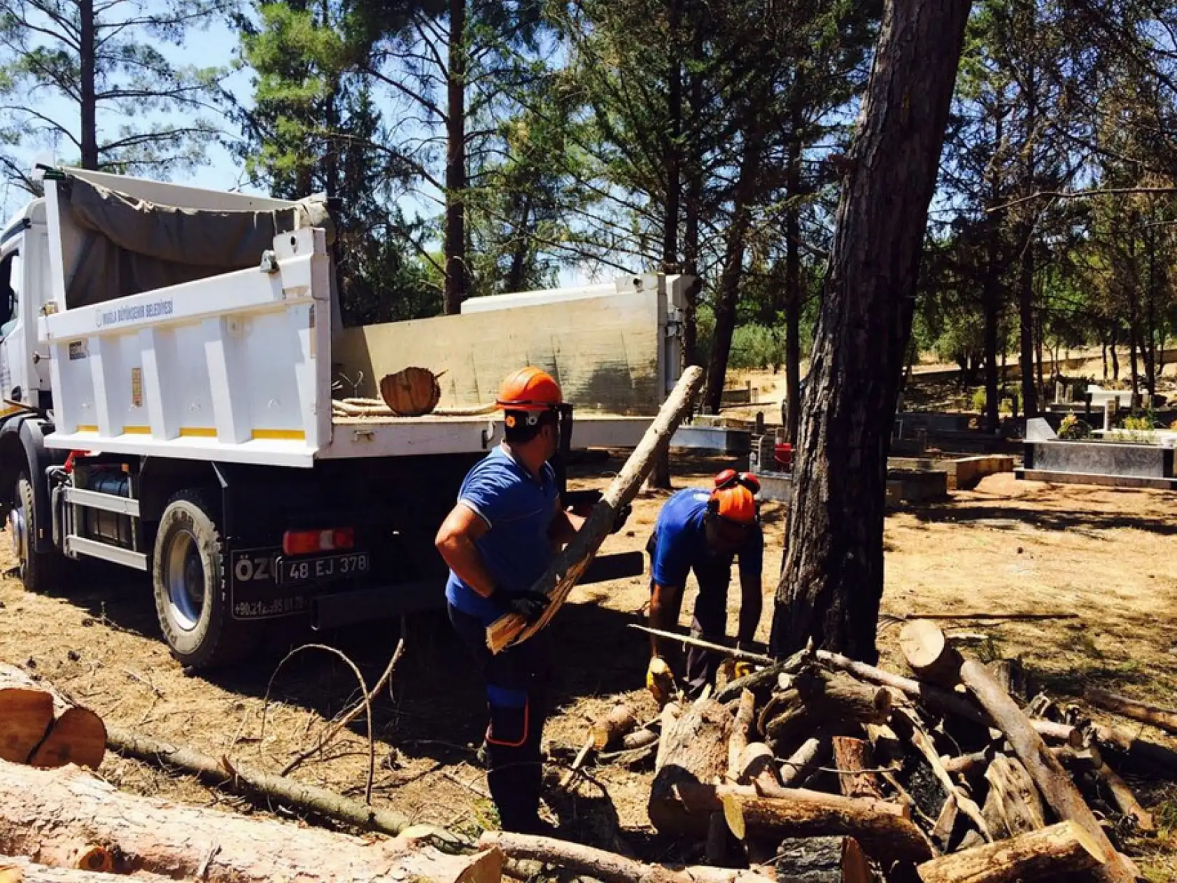 Muğla'da mezarlıklarda temizlik