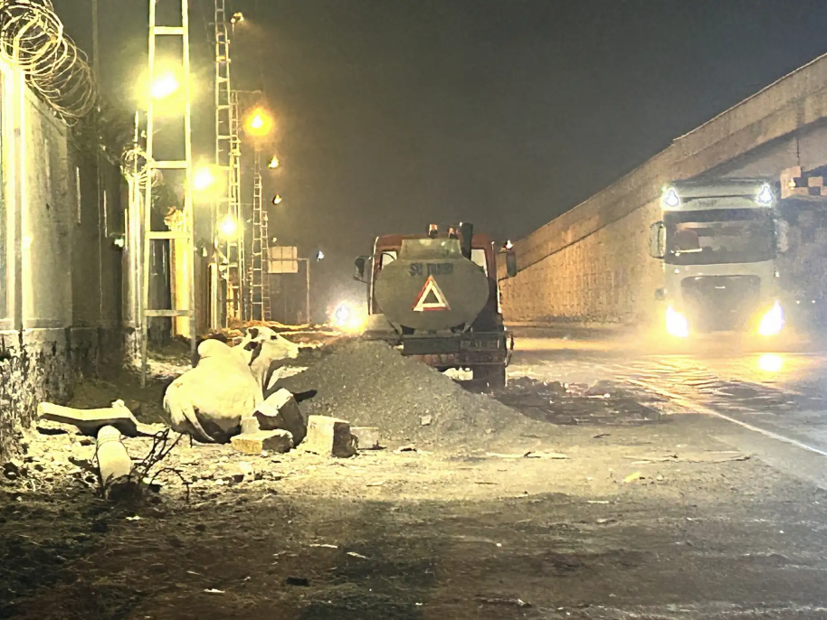 Tırdan kaçıp şehir turuna çıktı