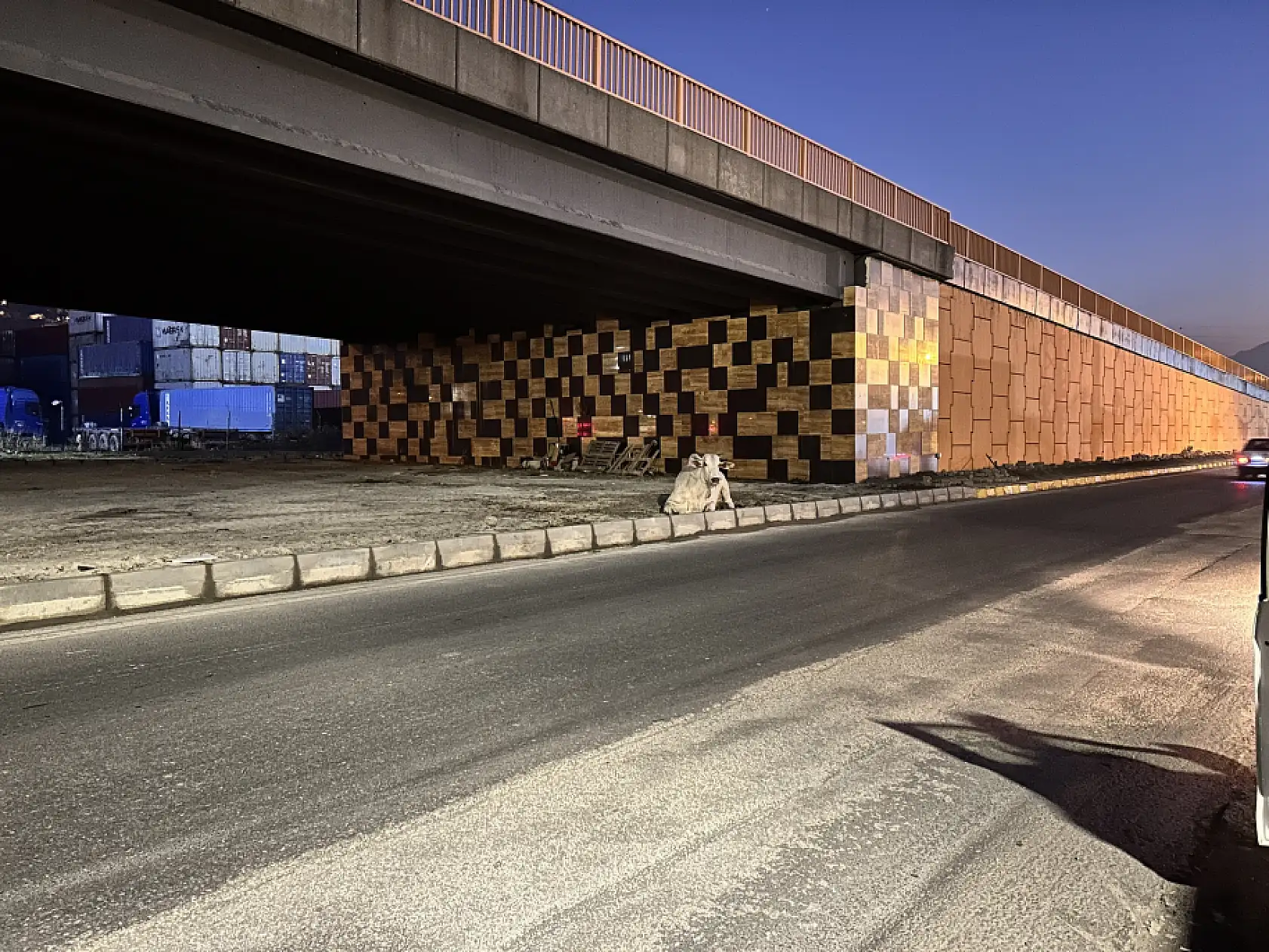 Tırdan kaçıp şehir turuna çıktı