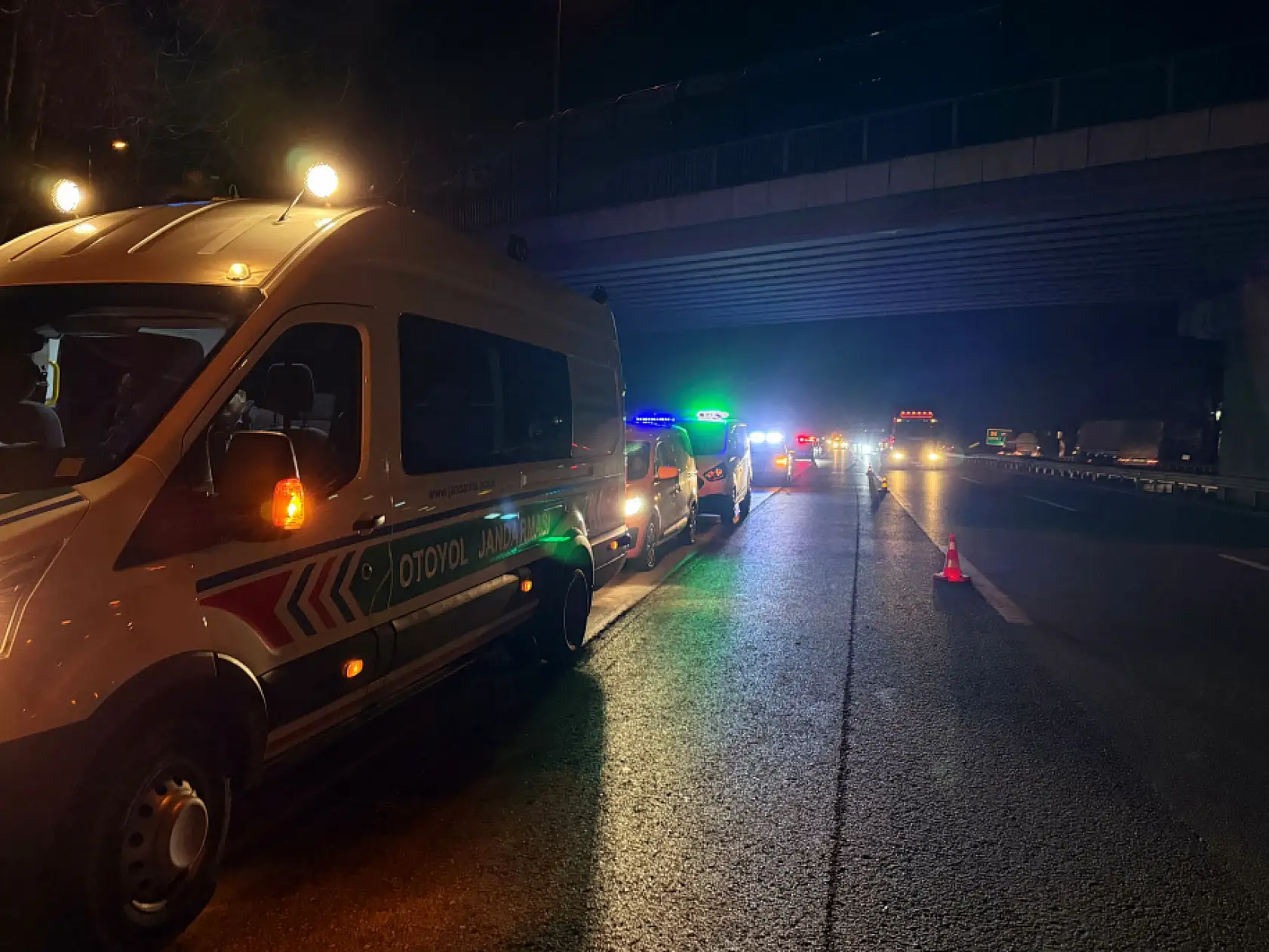 Otoyolda bir kişinin parçalanmış cesedi bulunmuştu: Yeni detaylar ortaya çıktı