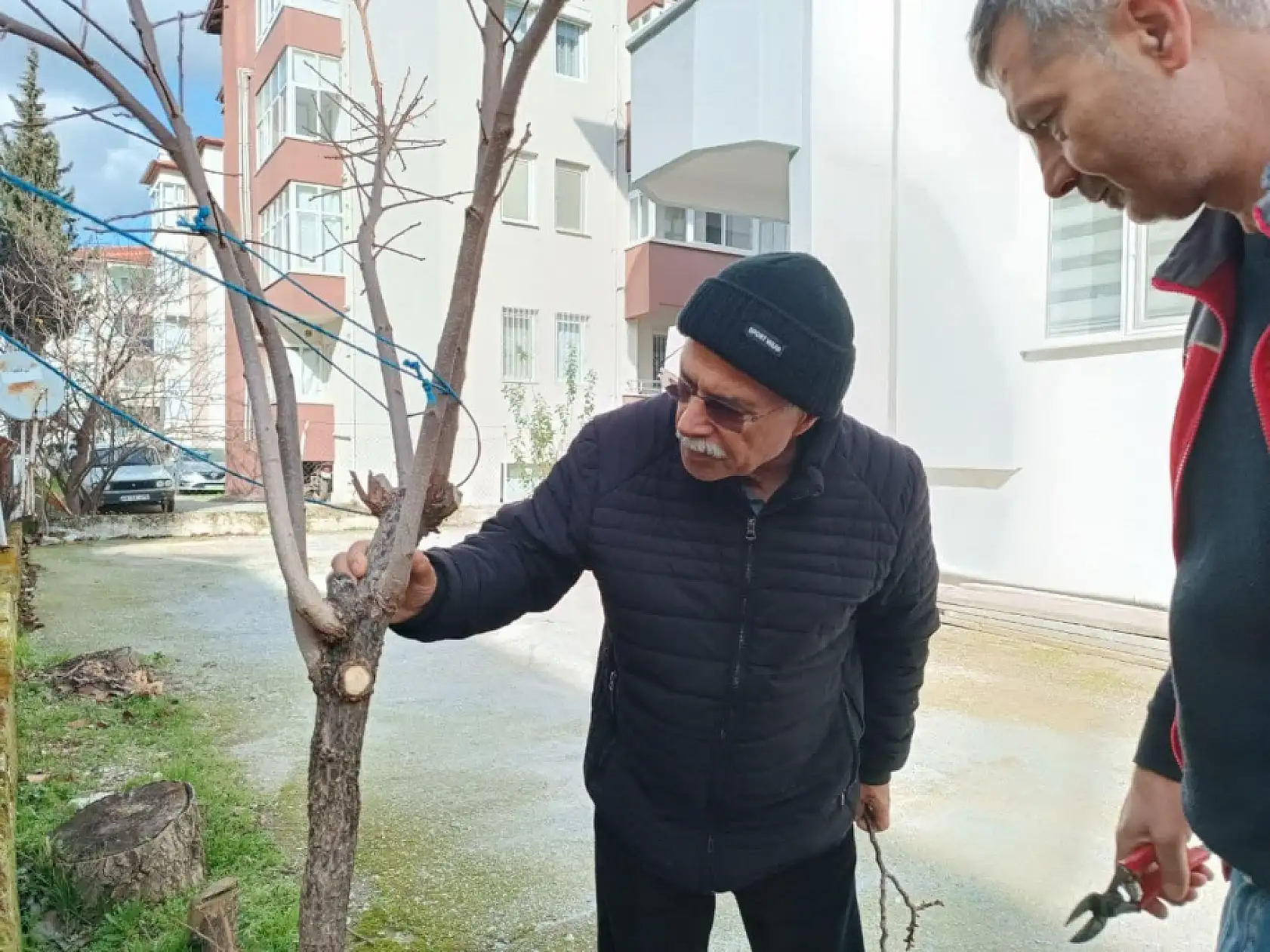 Menteşe'de üreticilere budama ve hastalıkla mücadele eğitimi