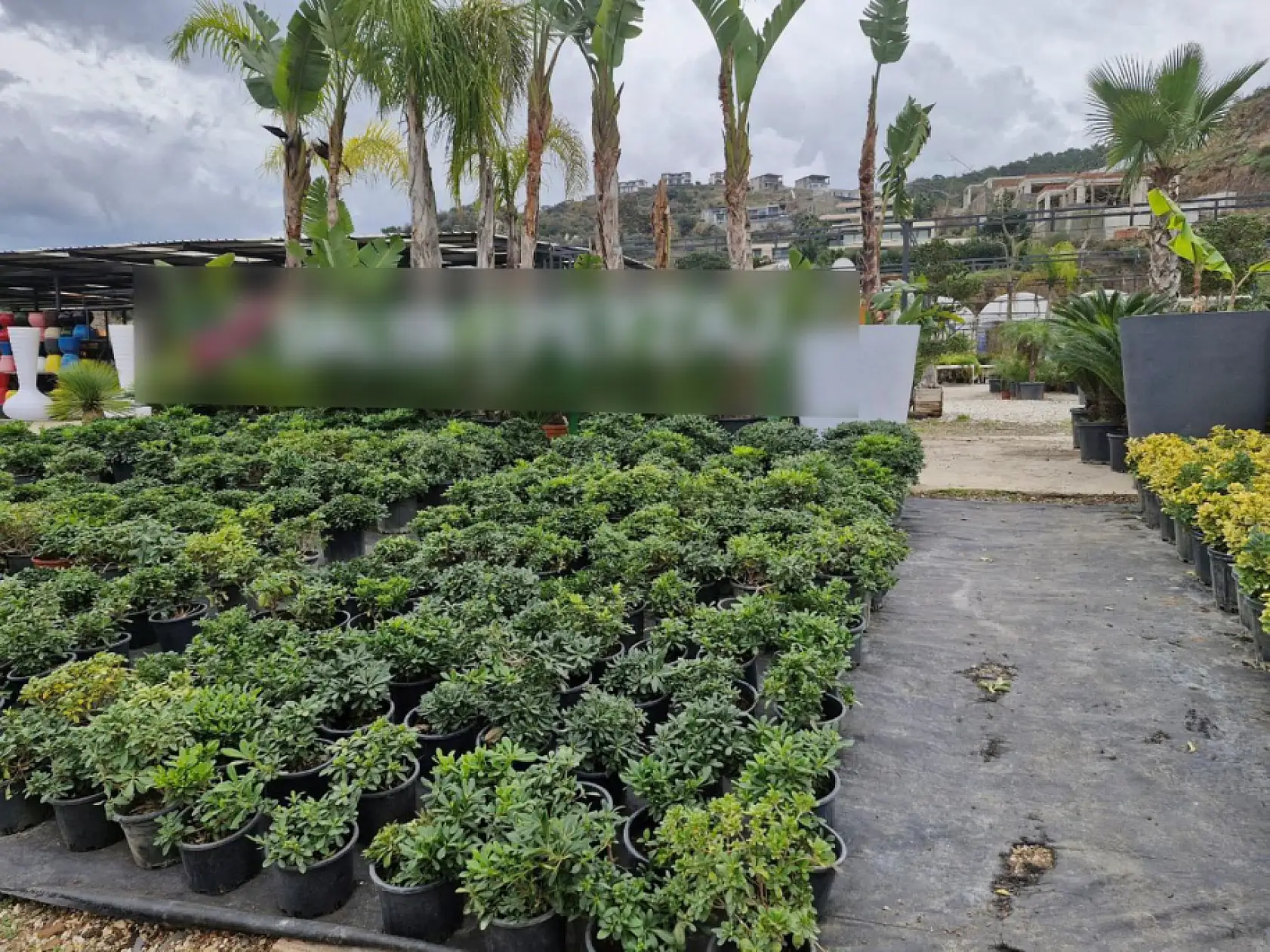 Bodrum'da zabıta ekipleri denetimlerine devam ediyor