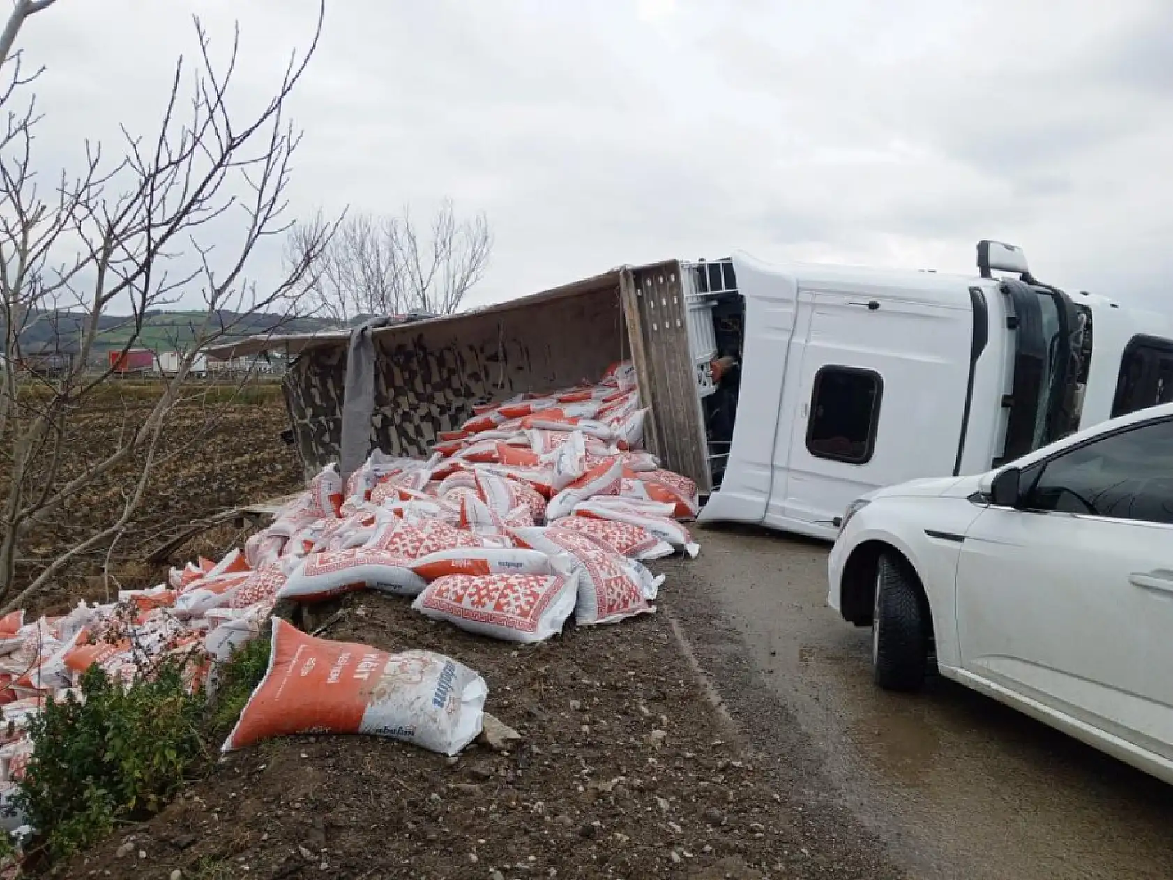 İki tır kafa kafaya çarpıştı: 1 ölü, 2 yaralı