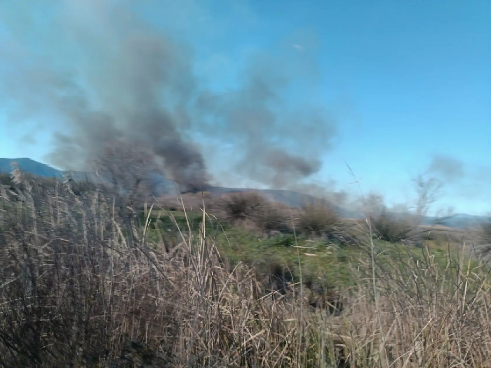 Köyceğiz'de sazlık yangını başladı