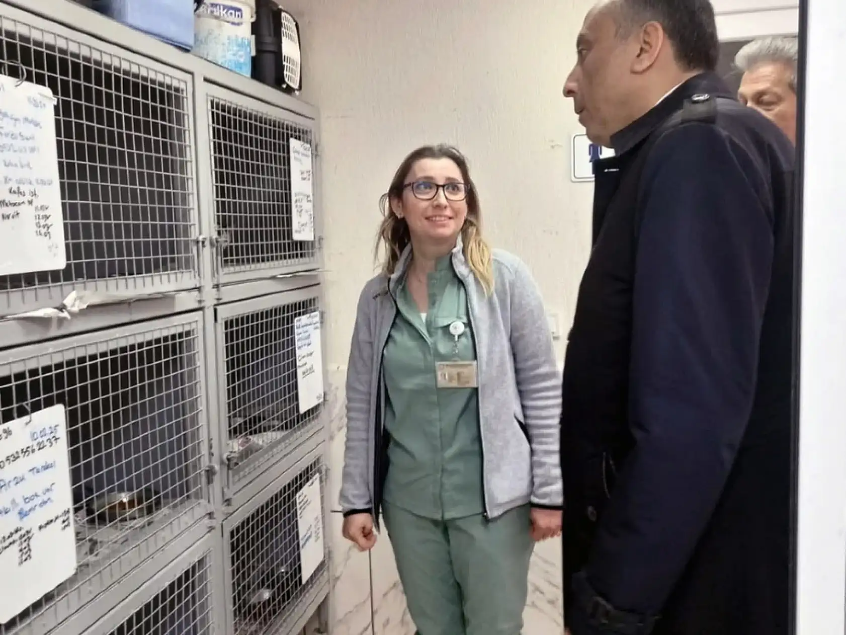 Muğla Büyükşehir Geçici Hayvan Bakım Evi'nde inceleme