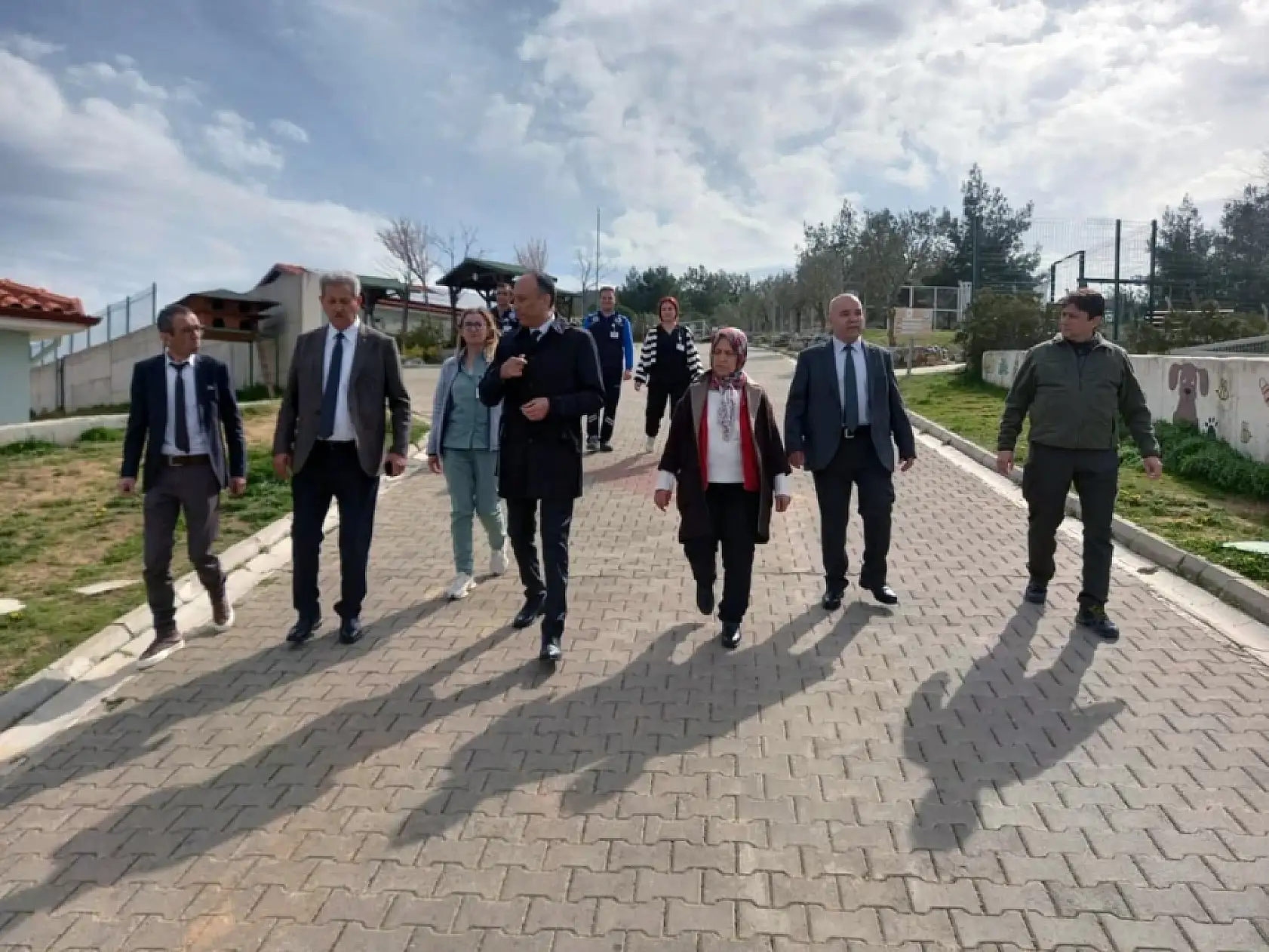 Muğla Büyükşehir Geçici Hayvan Bakım Evi'nde inceleme