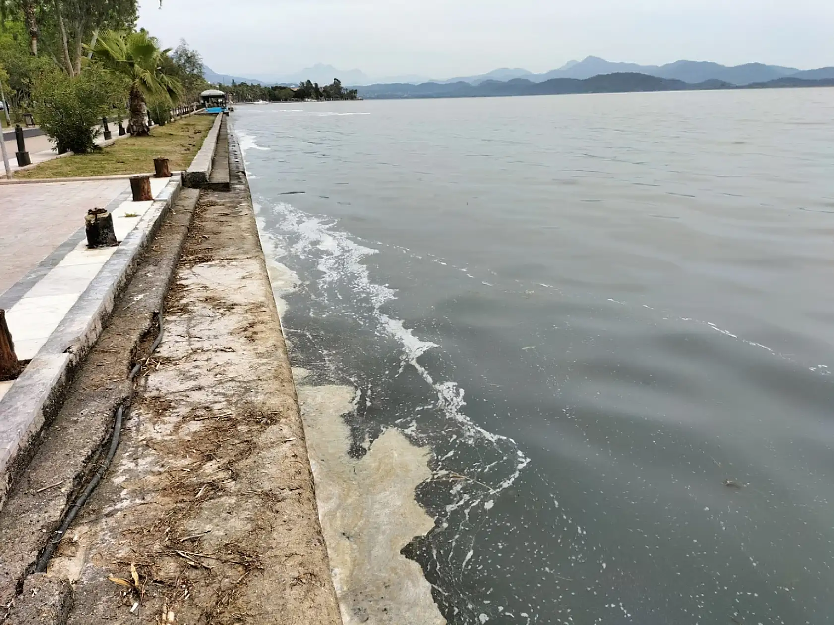 Köyceğiz Gölü'ndeki müsilaj tedirgin etti