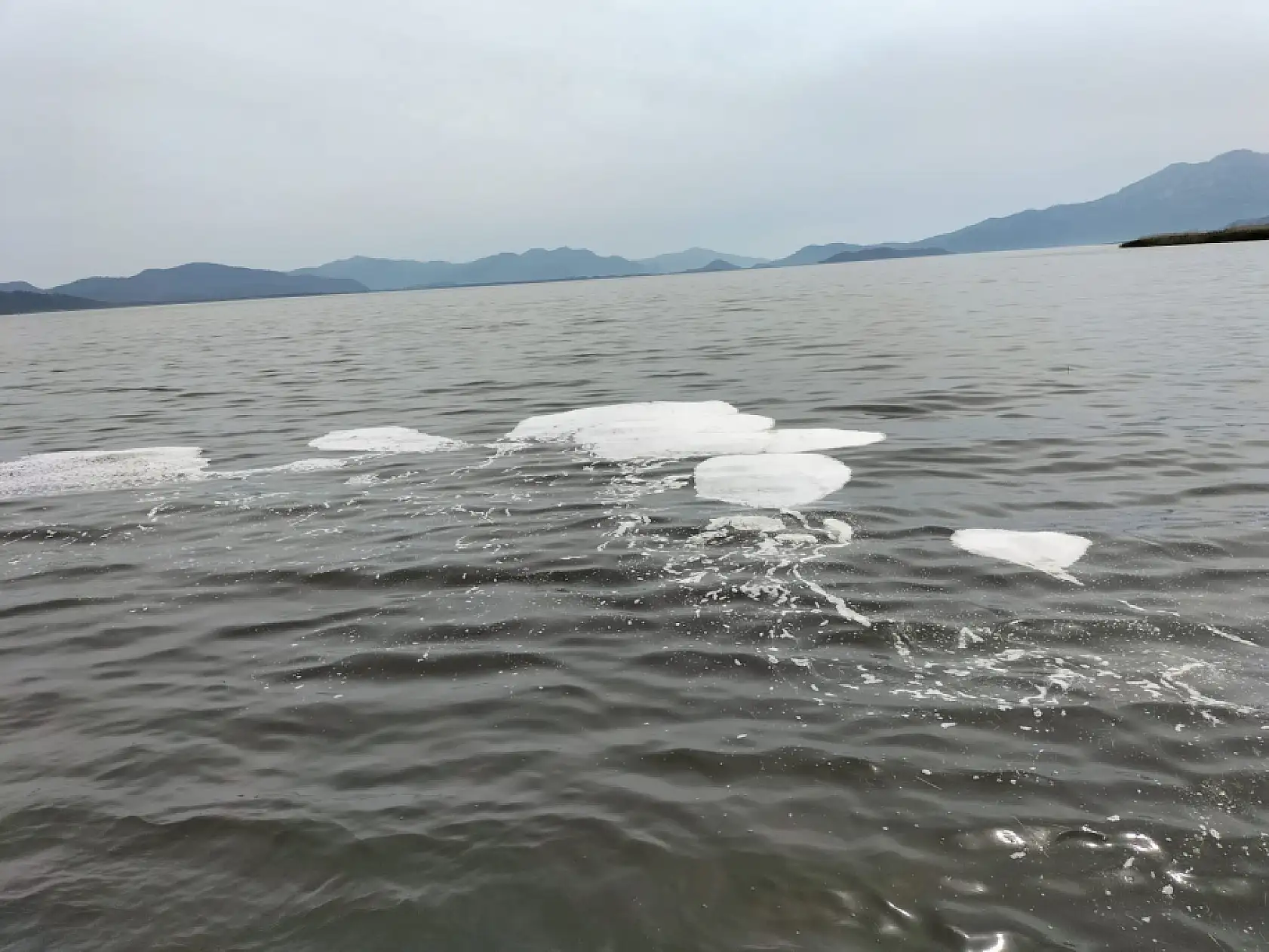 Köyceğiz Gölü'ndeki müsilaj tedirgin etti