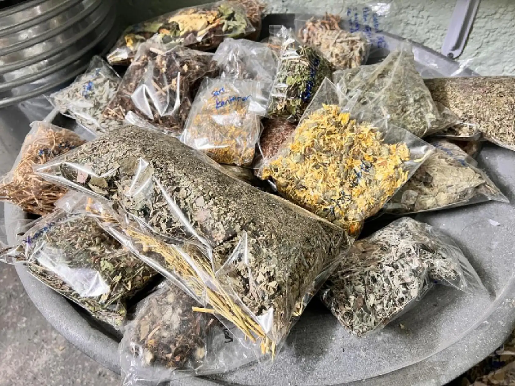 Binlerce bitkinin frekansını dinliyor! Mustafa Uludağ'ın şifa yolculuğu görenleri hayran bıraktı