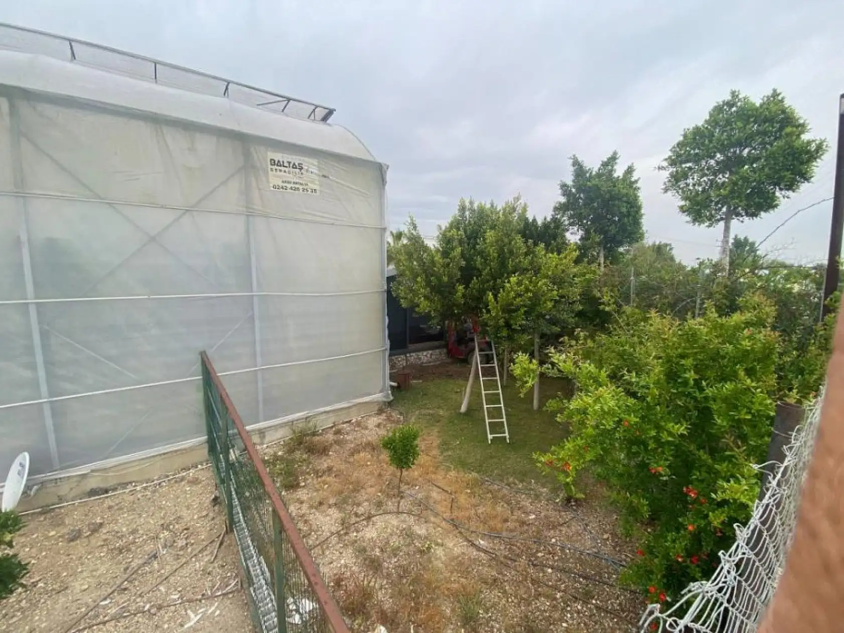 Kamyonet seraya daldı: 1 yaralı