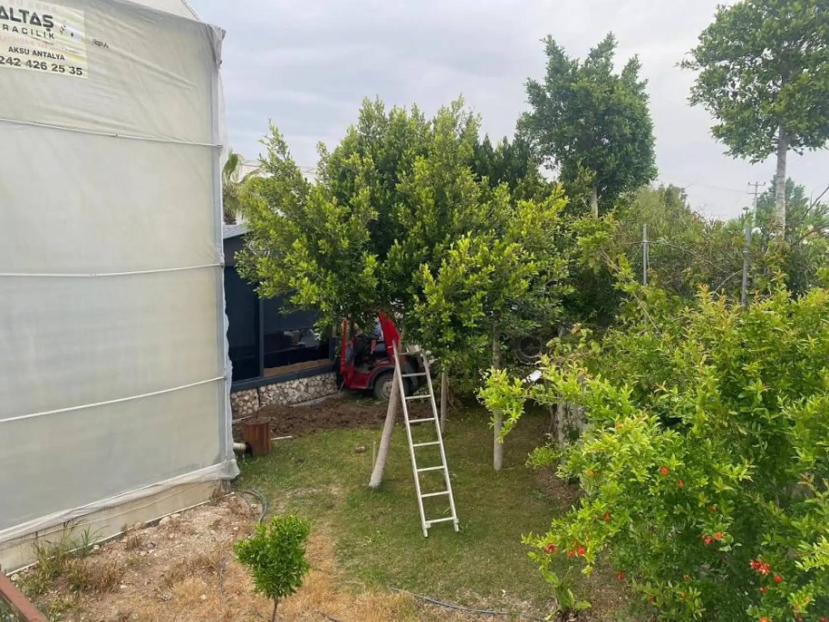 Kamyonet seraya daldı: 1 yaralı