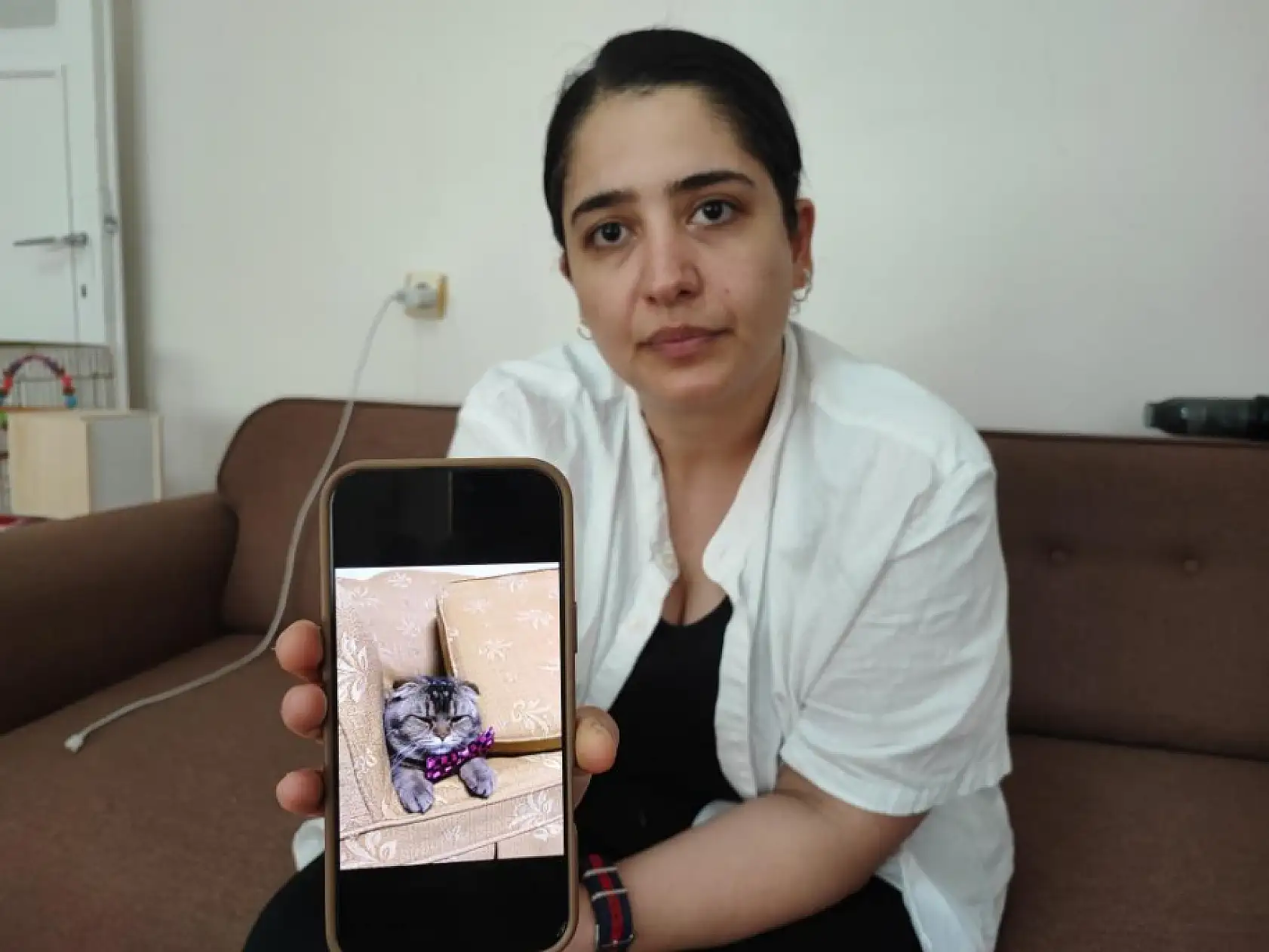 Kayıp kedi bulunmazsa kocası boşayacak