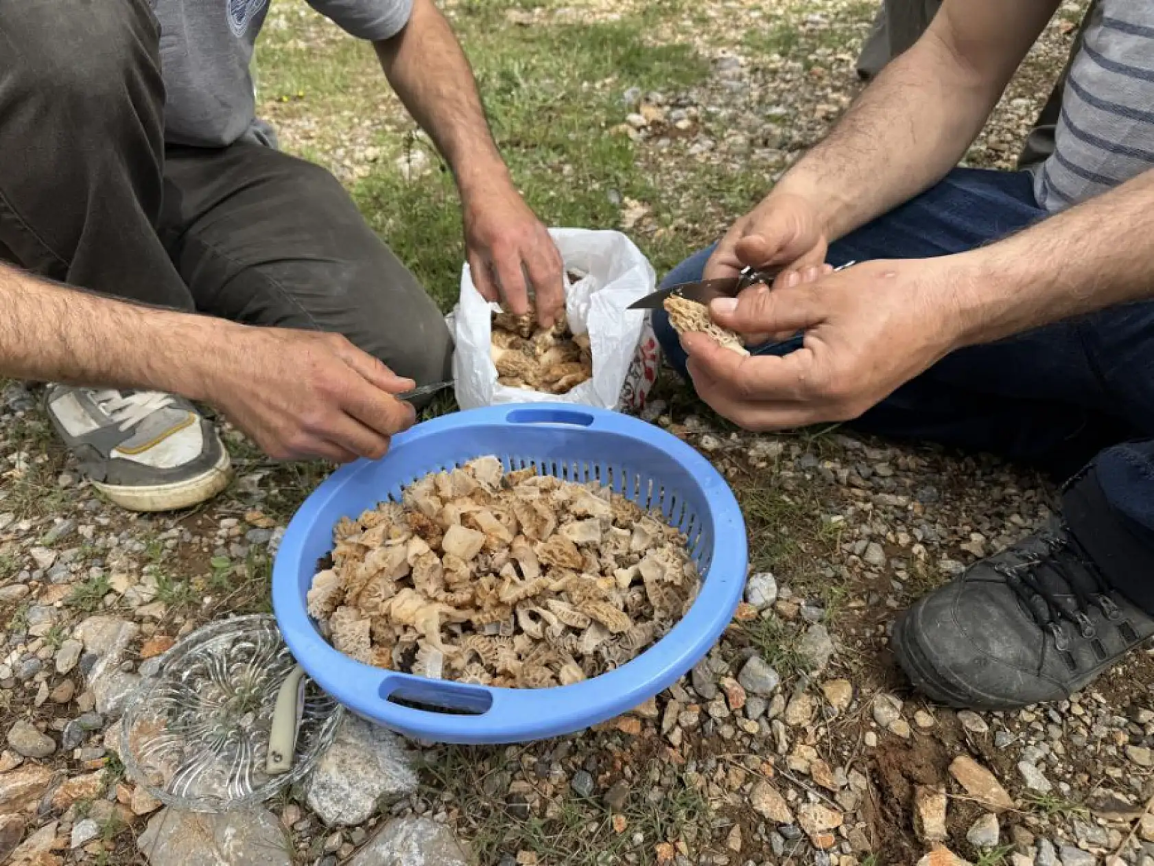 Vatandaşlar Kuzugöbeği için dağlara akın ediyor