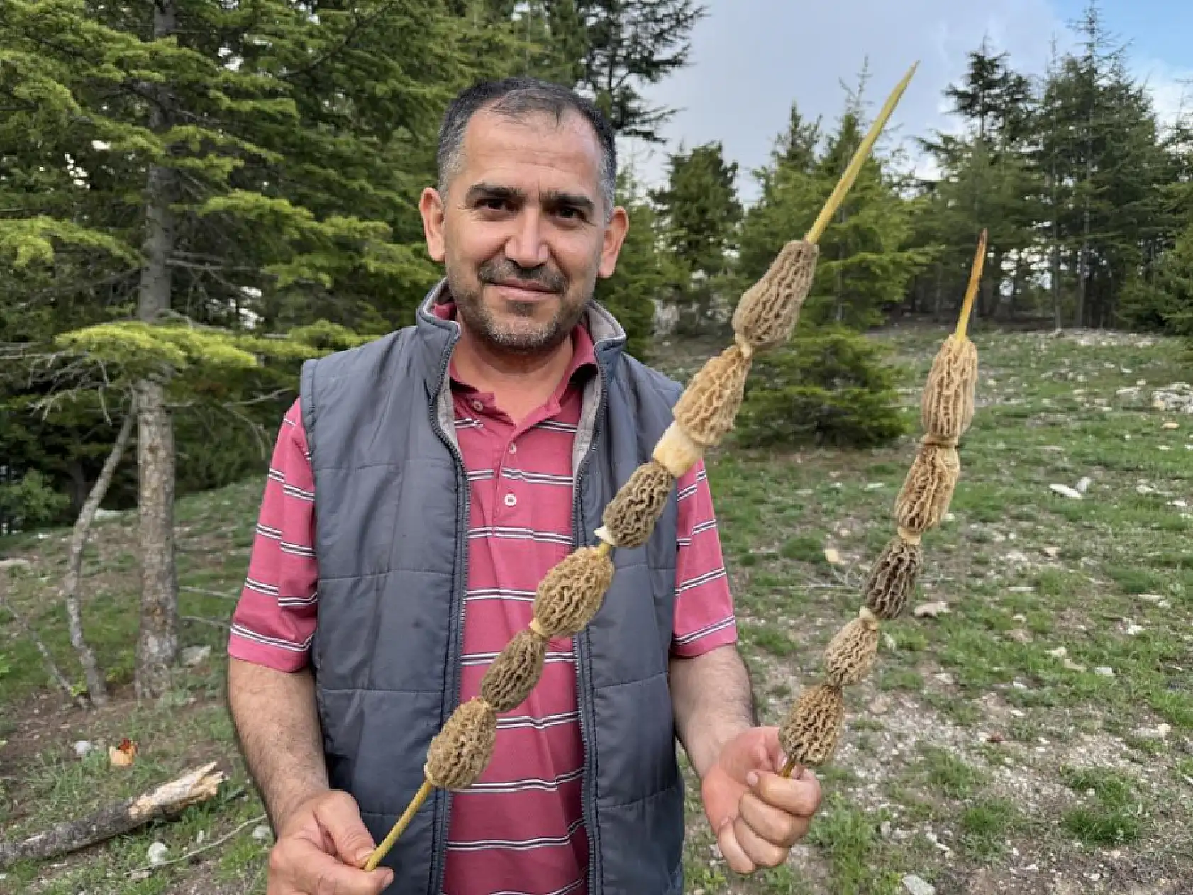 Vatandaşlar Kuzugöbeği için dağlara akın ediyor