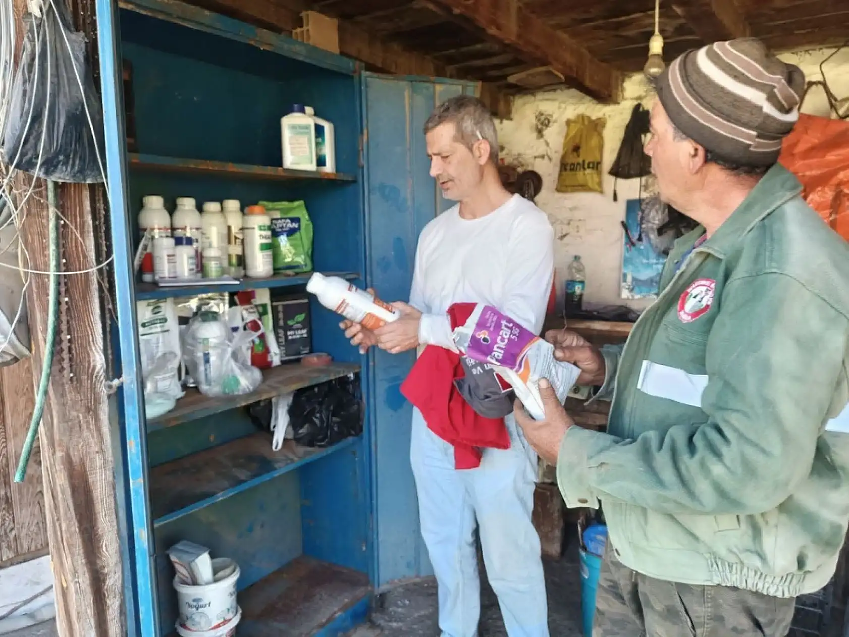 Muğla'da örtü altı sebze üreticilerine teknik destek