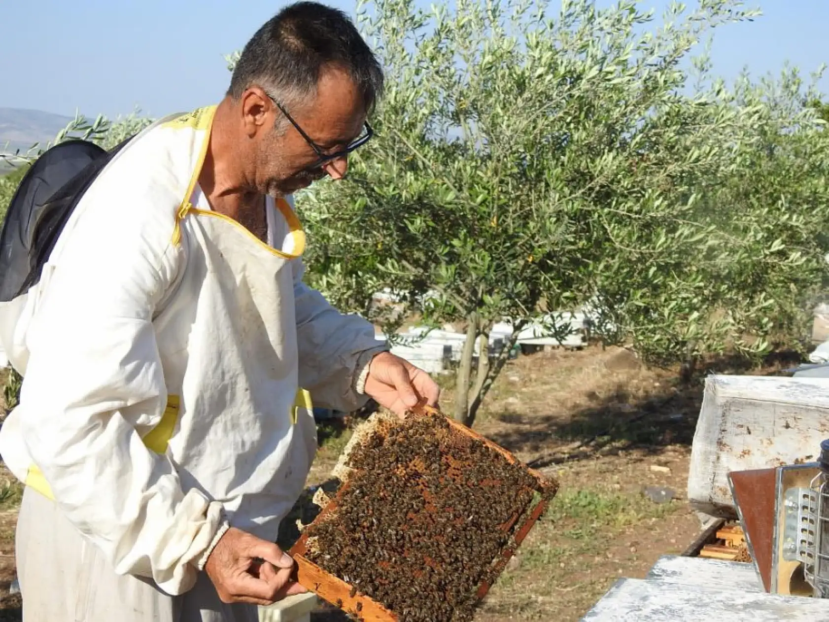 Doktorun annesine bal tavsiyesi hayatını değiştirdi