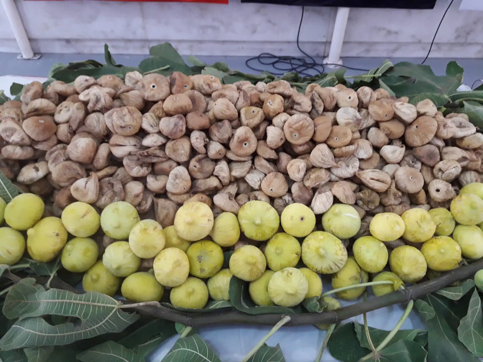 Çöpe gitmedi, enerjiye dönüştü! Kuru İncirde dünya çapında başarı