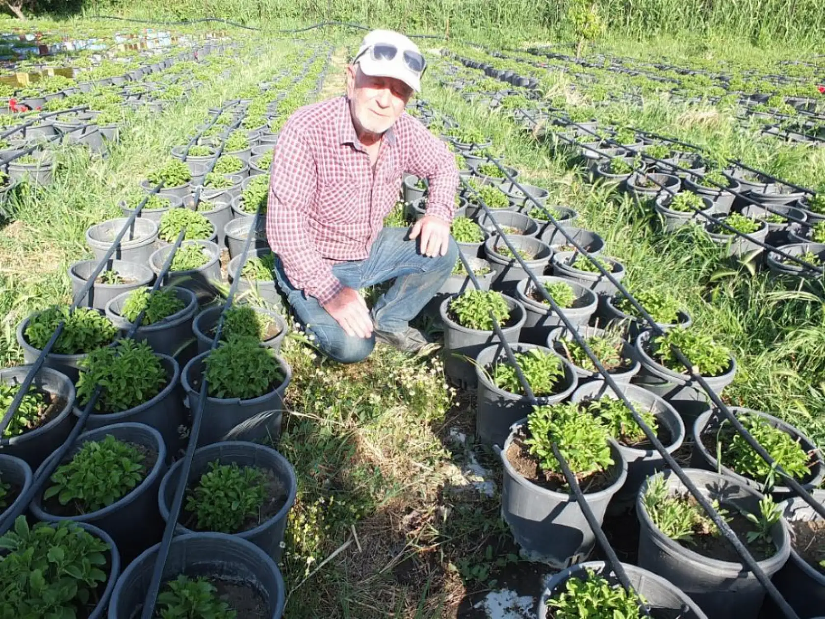 Emeklilikte toprağa döndü, binlerce fideyle umut yeşertti