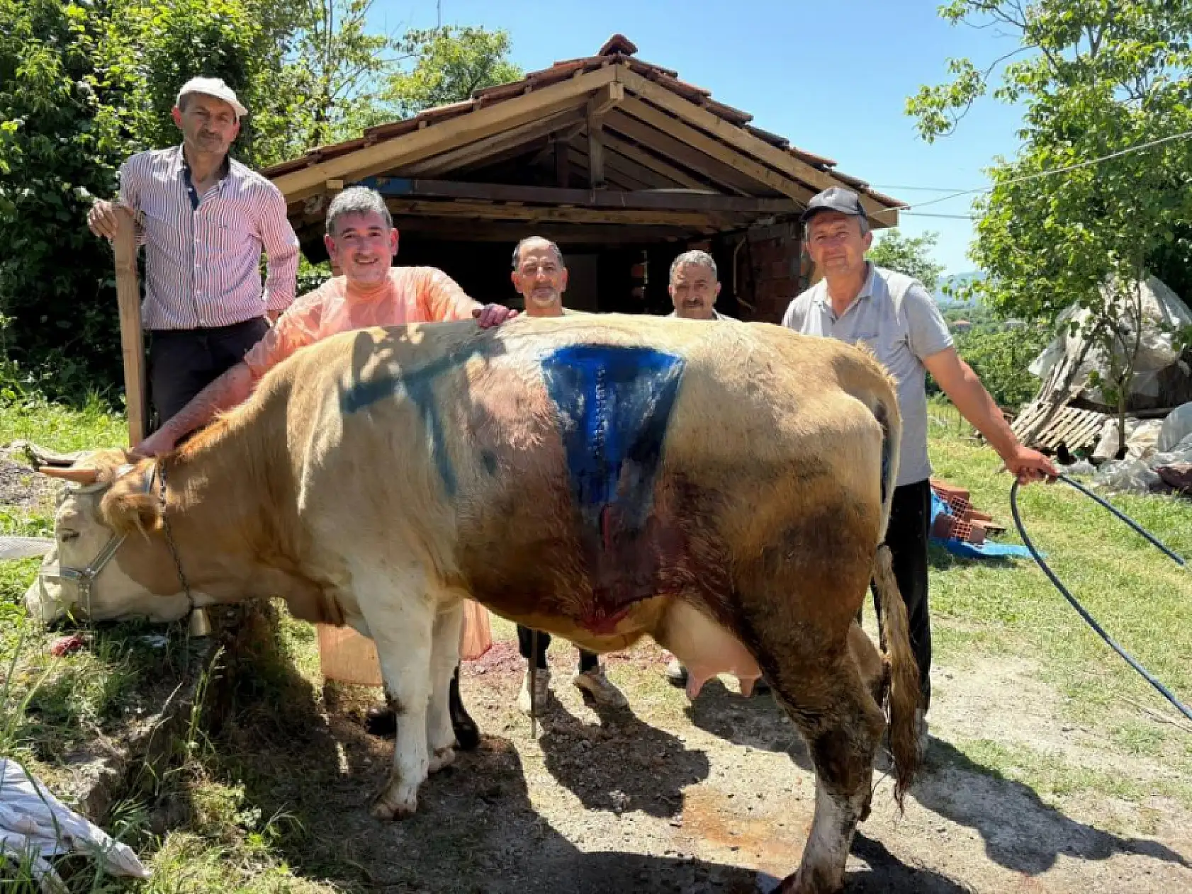 Yüz binde bir görülen olay