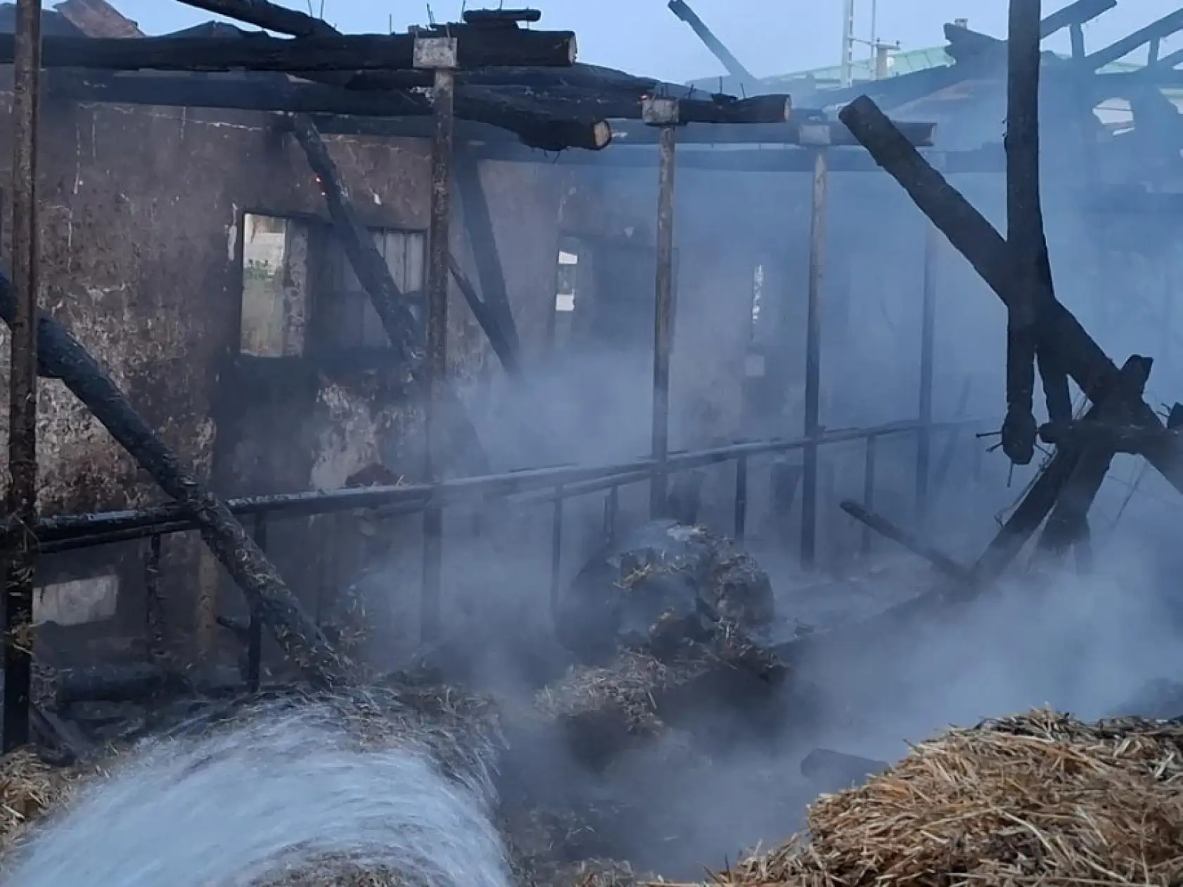 Bayram öncesi felaket: Ahırda çıkan yangın, satışı yapılan 16 büyükbaşı telef etti